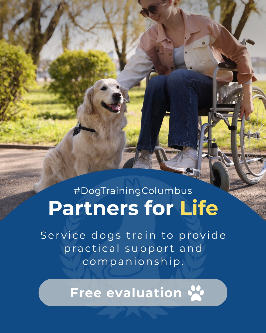 Service dogs change lives, one task, one moment, one person at a time. 🐕‍🦺
 Our programs empower dogs to provide meaningful support for veterans with PTSD, individuals with medical conditions, and children or adults with disabilities.

Through proven training methods and personalized guidance, we build confident, reliable service dogs who bring freedom and peace of mind to the people who need them most.

Dog Training Elite Columbus, creating partnerships that inspire independence.

📅Ready to fall in love with a well-behaved pup? Schedule your free in-home evaluation and discover why neighbors across Columbus, Hilliard, and Delaware rely on Dog Training Elite. 🐶
📍 https://maps.app.goo.gl/JwaYdXaHjbuPUPAg9



