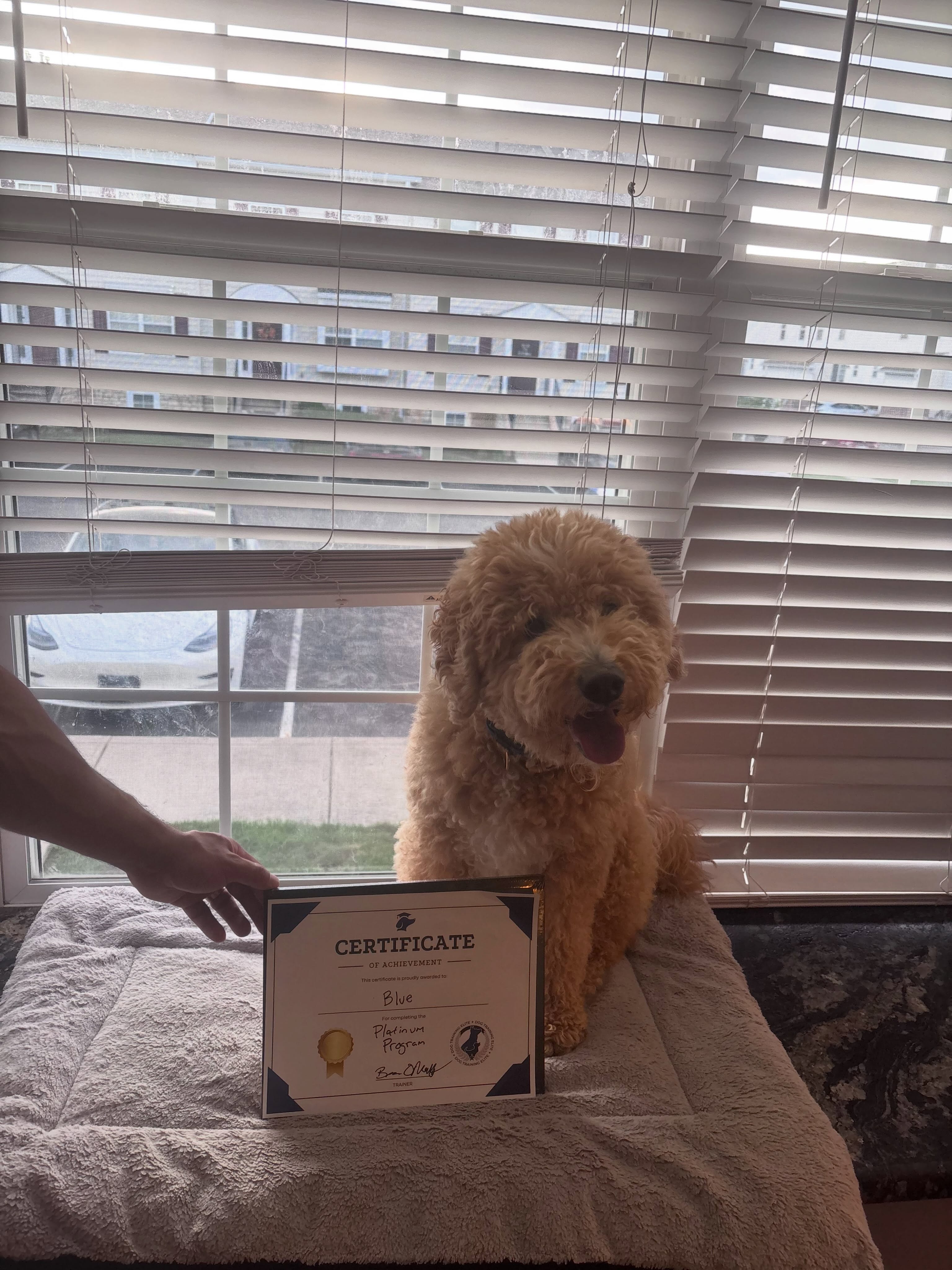 Blue completed his Platinum Program!