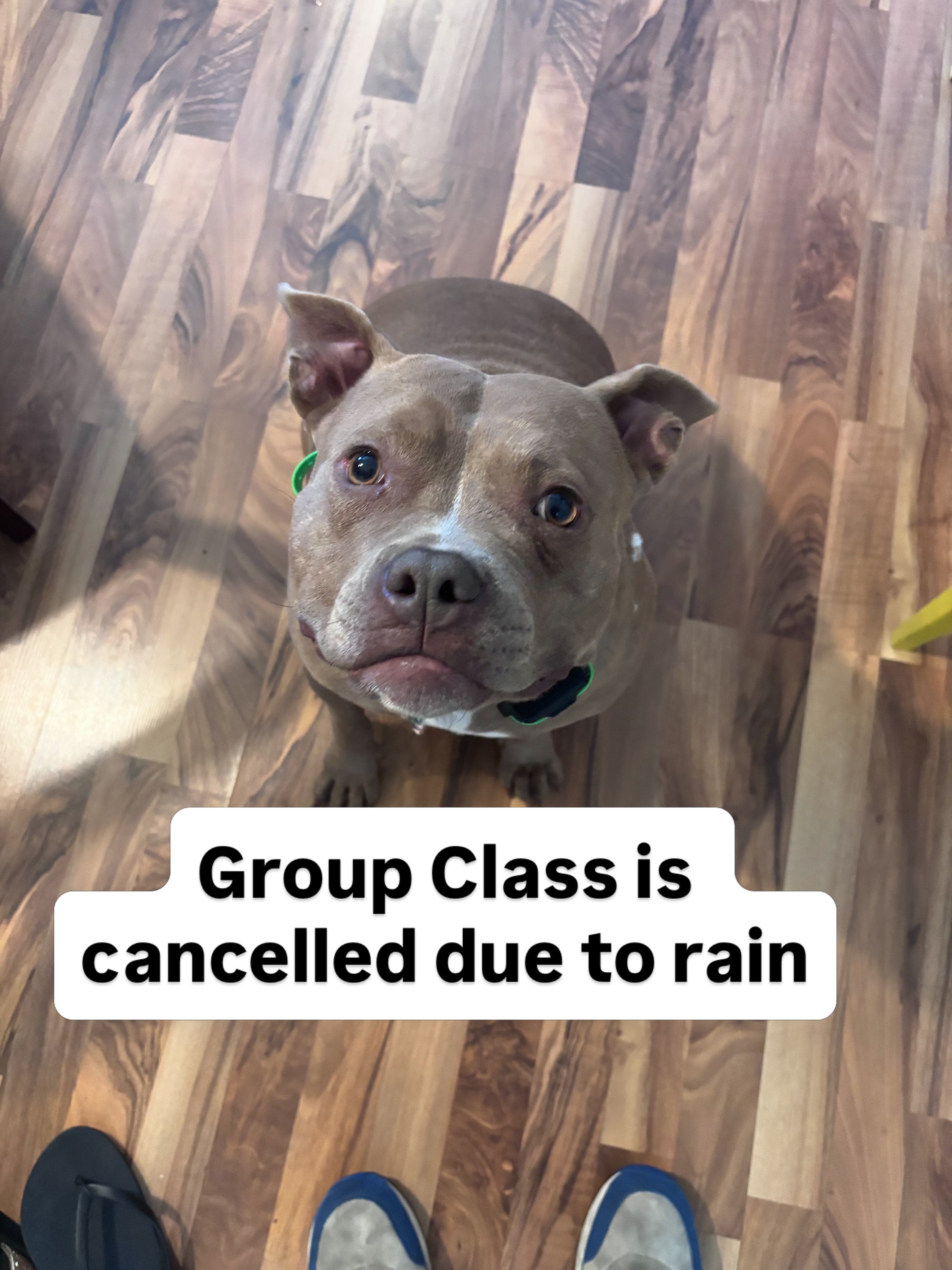 Group Class is cancelled due to rain