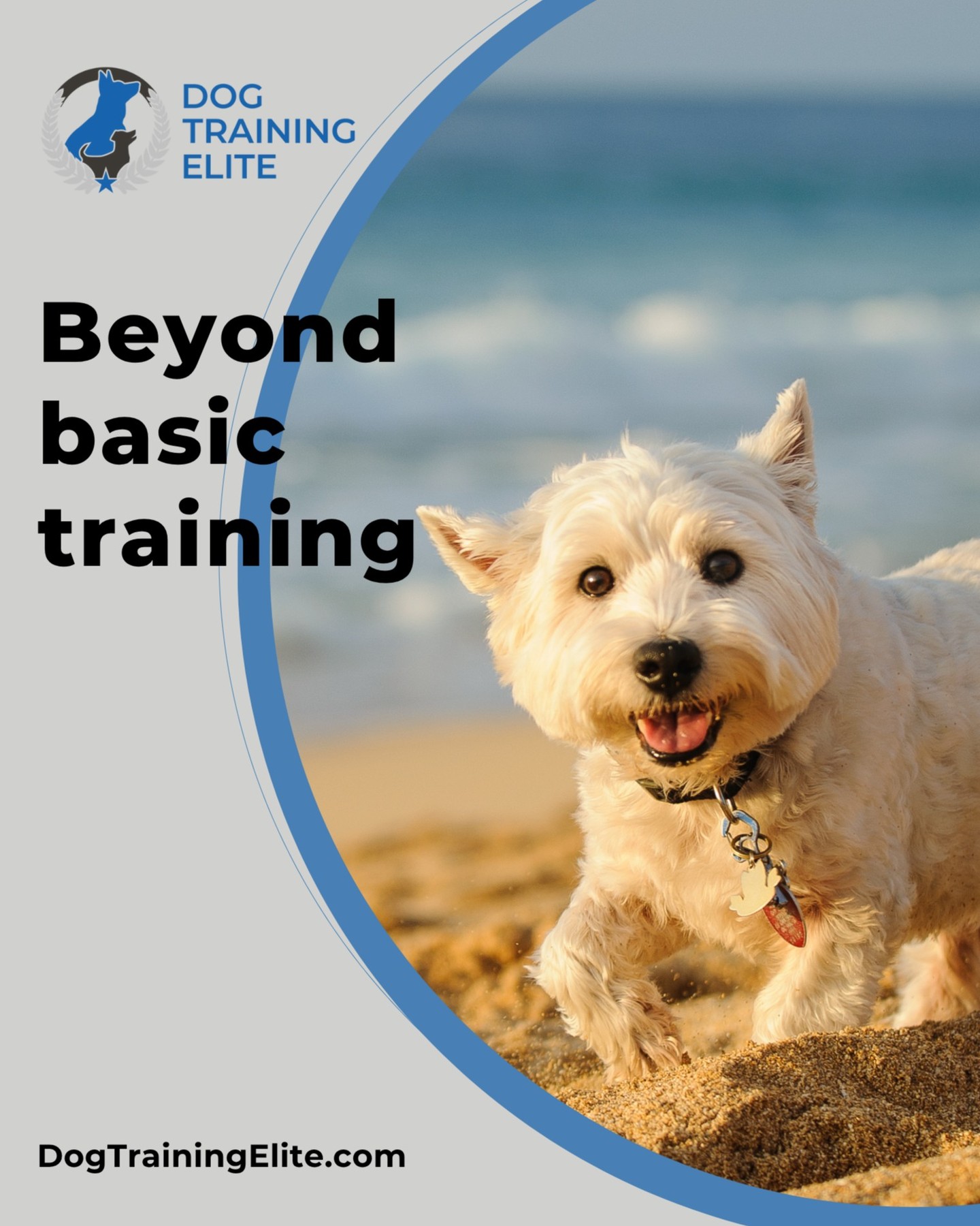 Dog Training Elite Columbus offers advanced obedience training that goes far beyond the basics. Whether you're dreaming of off-leash freedom at the park or seamless heeling during a bike ride, our programs are designed to build reliable, real-world skills.

We help dogs learn to:

Stay focused off-leash, even around distractions.
Heel comfortably during jogs and bike rides.
Follow advanced recall and directional commands.
Respond to voice or hand signals from a distance
Perform confidently in public settings.

This is more than obedience — it’s partnership, trust, and freedom.

🐾 Take the first step toward a well-trained companion—schedule your free evaluation today and connect with your local Dog Training Elite team:  https://maps.app.goo.gl/trZW35TpDn2pEb5c9

