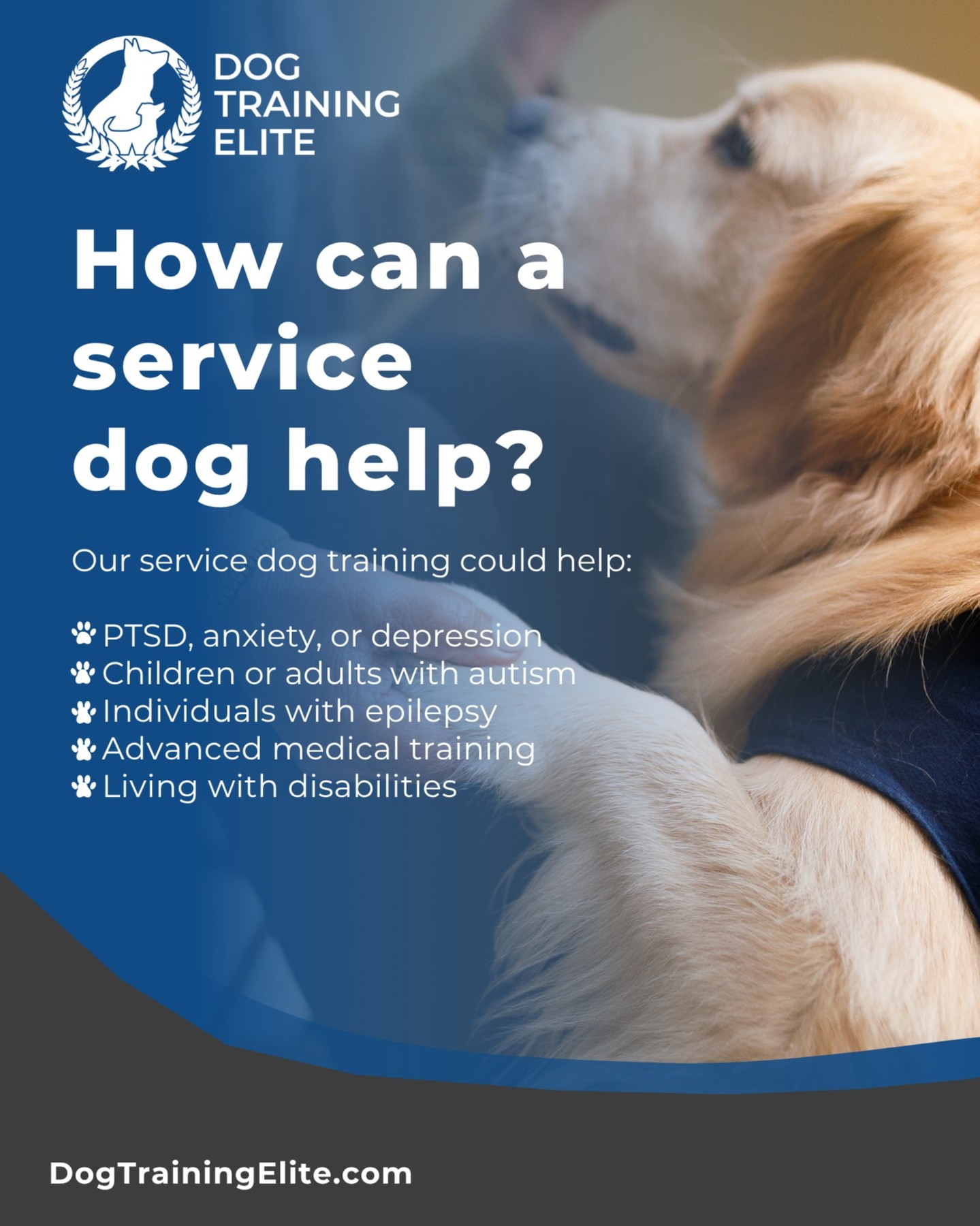 How can a service dog help?

Disabilities include mental or physical impairments that affect an individual’s ability to perform one or more major life activities (walking, seeing, etc.).

With our service dog training in Columbus, we ensure that your dog is trained to meet the specific needs of your disability, providing personalized support and empowering both dog and handler for long-term success.

See training packages: https://dogtrainingelite.com/columbus?location=columbus



