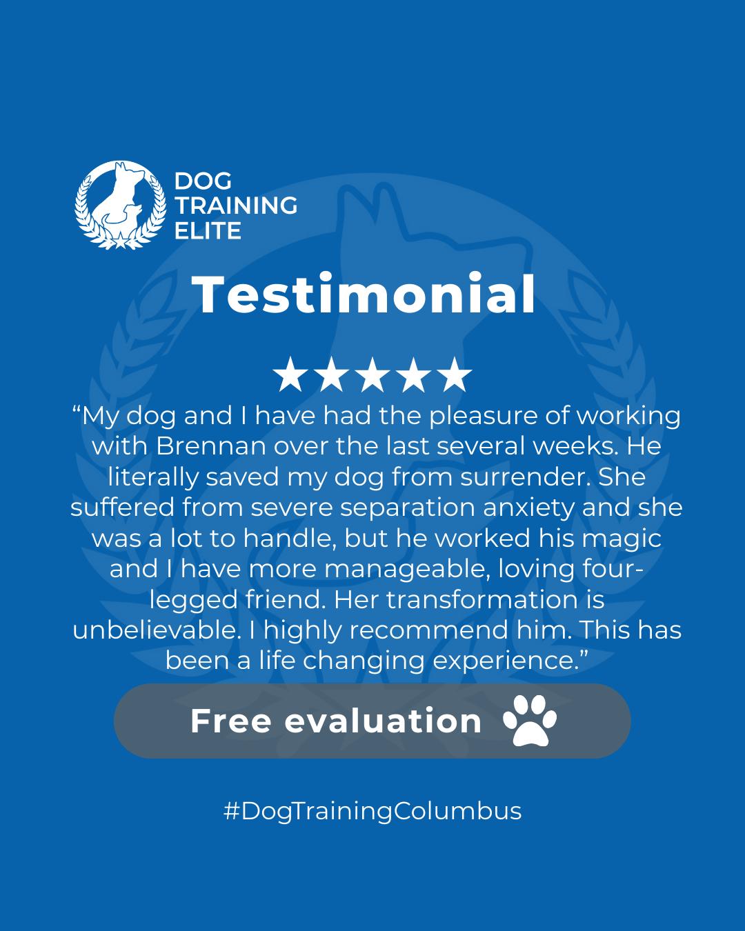 🐾 Energy? Handled.

At Dog Training Elite Columbus, we help energetic puppies channel their excitement into focus and obedience. Our personalized training programs deliver fast, lasting results—so your pups listen, learn, and thrive.

🎯 Ready for a happier, calmer pup? 🐾 Schedule your free in-home evaluation and see why neighbors across Columbus, Hilliard, and Delaware count on Dog Training Elite.
📲Spread the word! Families in German Village and Muirfield Village deserve training that really works. Share this post and help a neighbor unlock their pup’s potential with Dog Training Elite. 🐾✨


