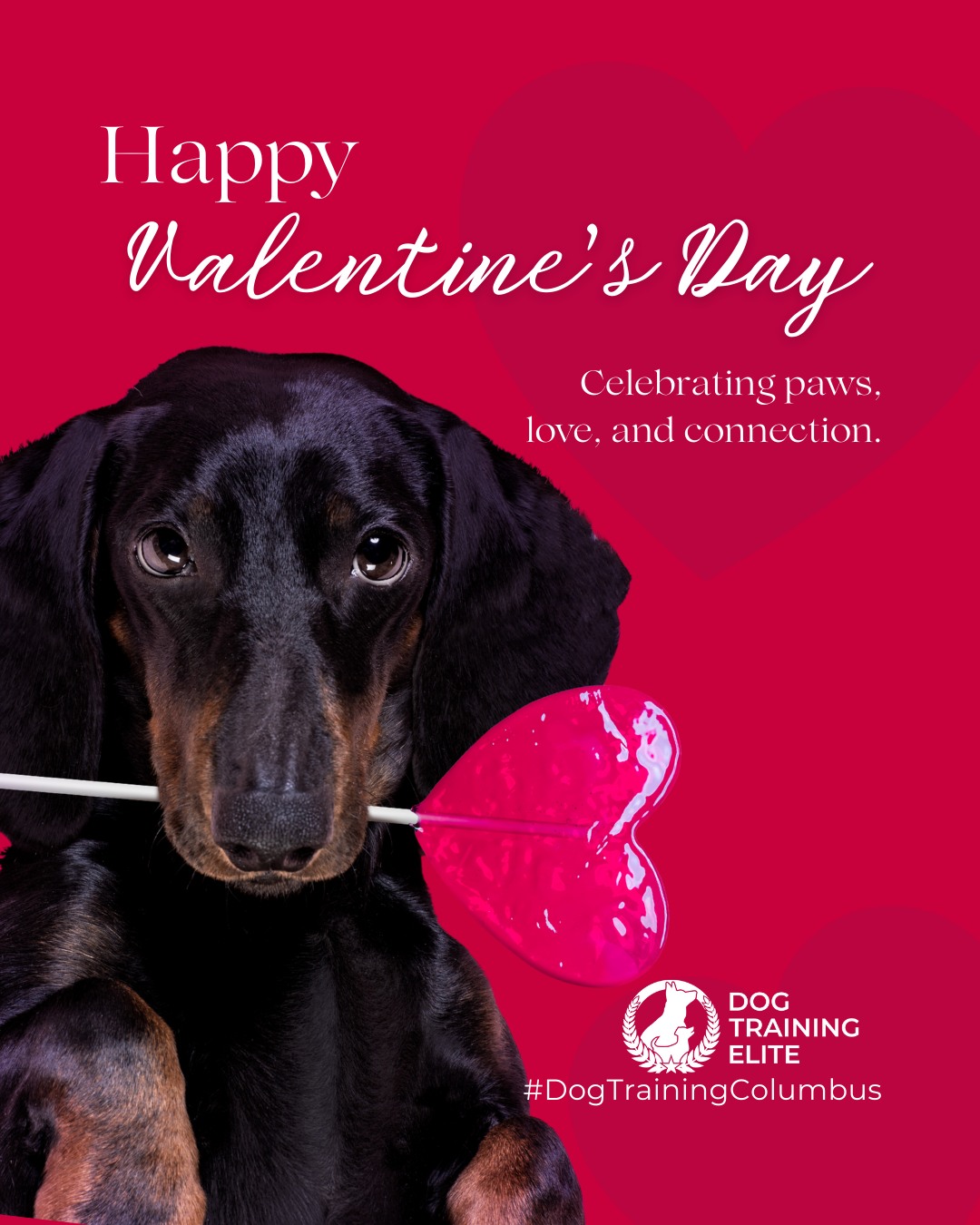 Love is in the air, and so is the joy of a well-trained dog! 💖

 This Valentine&rsquo;s Day, celebrate the bond with your furry Valentine. Whether it&rsquo;s teaching new tricks, mastering calm greetings, or simply spending quality time together, every moment strengthens your connection.
Training isn&rsquo;t just about obedience. It&rsquo;s about love, trust, and communication that lasts a lifetime.

Remember: no chocolates or human treats for your pups! Stick to dog-safe goodies. 🐶

Make better behavior your first win of the year. Book your free in-home evaluation and see why Dublin and Westerville dog owners choose Dog Training Elite for real, lasting results.
 📍 https://maps.app.goo.gl/JwaYdXaHjbuPUPAg9



