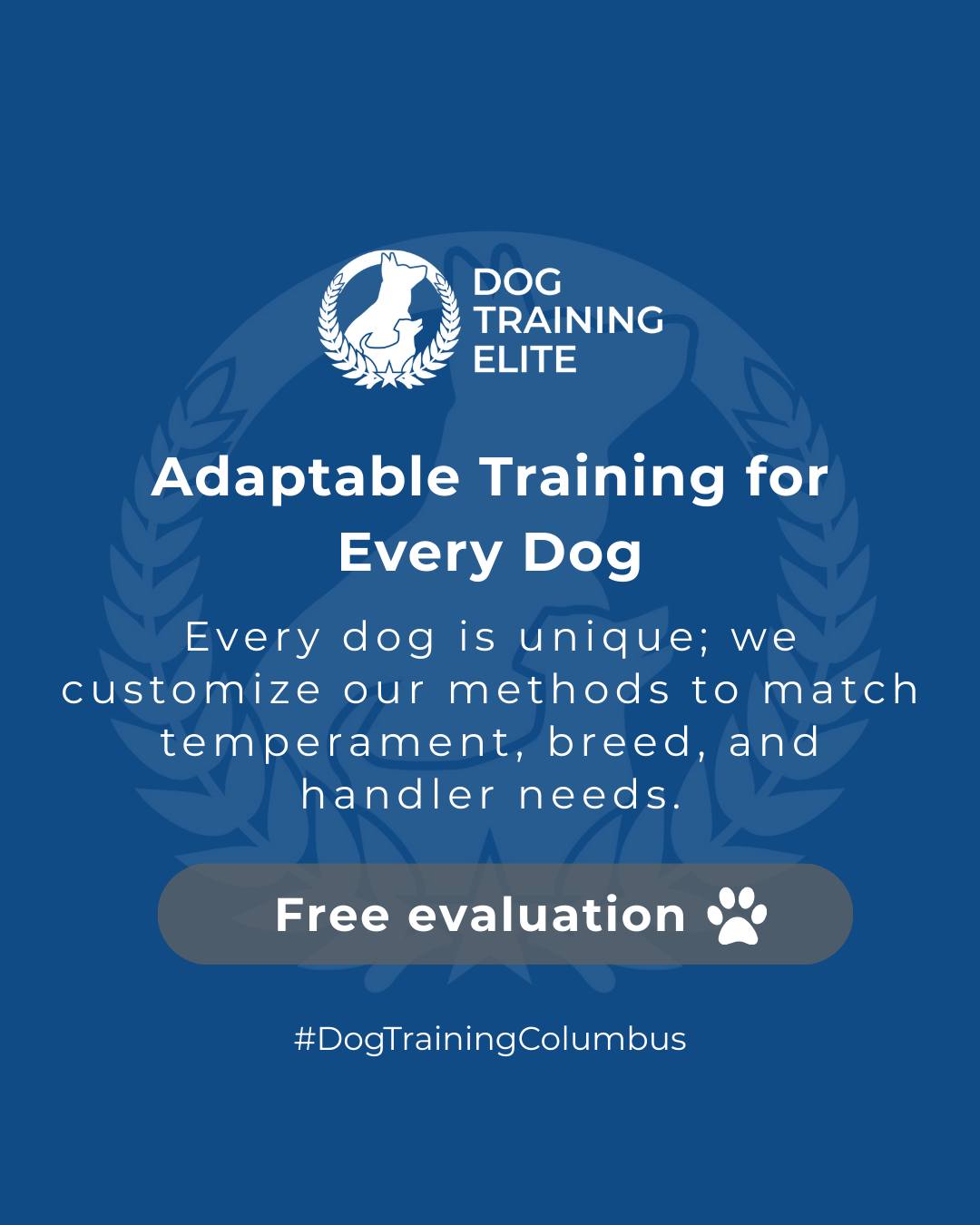 🐾 Adaptable Training for Every Dog

Every dog is unique, with their own personality, temperament, and needs. At Dog Training Elite Columbus, we customize our training methods to fit each dog and handler, ensuring effective, lasting results.

Whether your pup is energetic, shy, or somewhere in between, our balanced approach helps them build confidence, focus, and strong skills.

🎯Ready for a happier, calmer pup? 🐾 Schedule your free in-home evaluation and see why neighbors across Columbus, Hilliard, and Delaware count on Dog Training Elite.
📍https://maps.app.goo.gl/JwaYdXaHjbuPUPAg9


