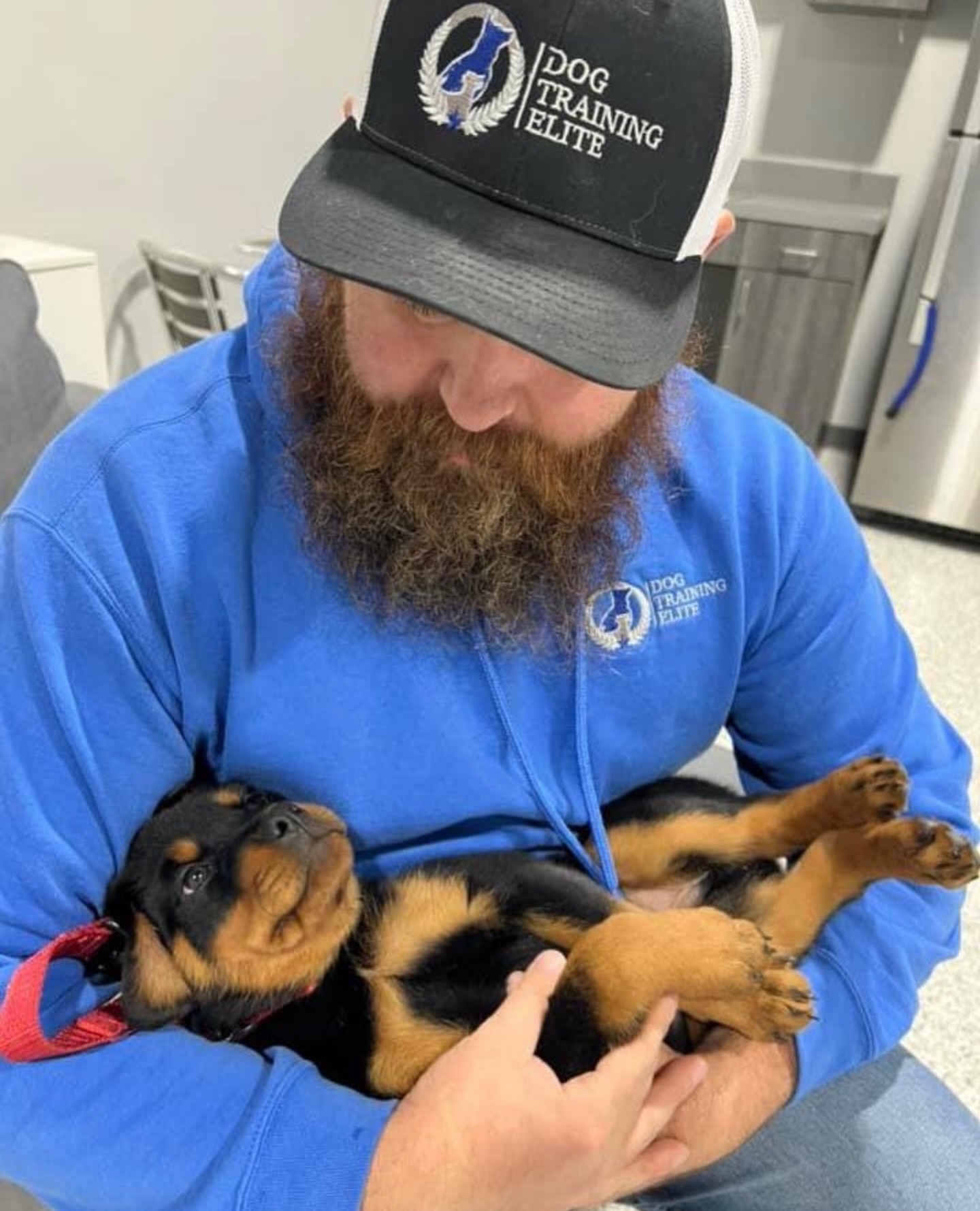 It can be love at first sight, bark, bite when it comes to personal protection! 🛡️ 

Professional dog trainers keeping you and your loyal best-friend safe as you go through different protection dog training scenarios 

🐾 Learn more by submitting the form linked in our bio and set up a free evaluation to see if personal protection training is right for you and your dog! 

