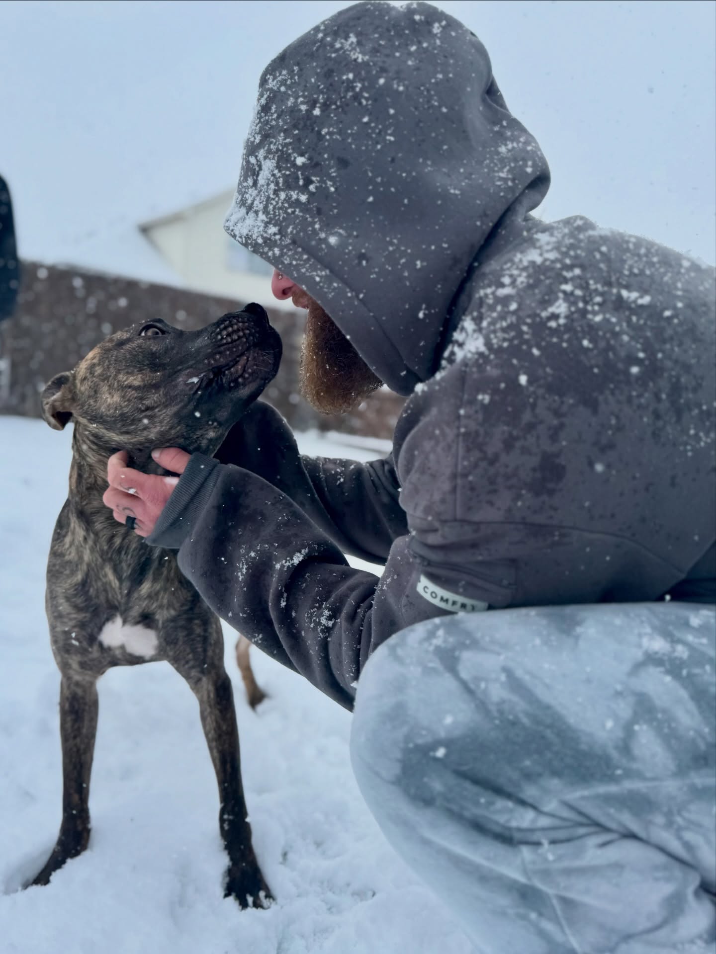Best thing about snow days? Snow memories with the pups you love! 💕 

🐾 If being cooped up with your canine feels overwhelming or stressful submit the form in our bio to turn any time with them into a good time!

