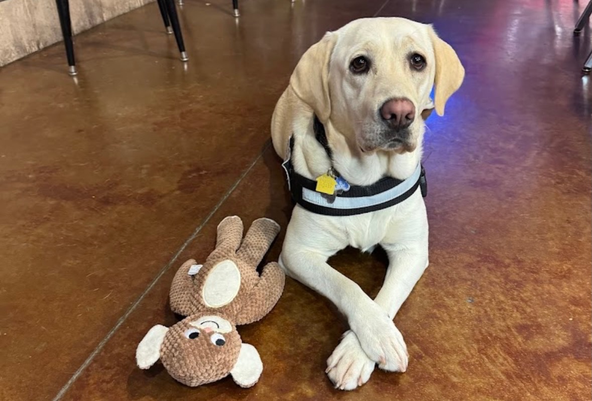 &ldquo;The trainers here are so knowledgeable and can read a dogs body language so fast. They taught my dog commands in 5 minutes or less and showed me how to instill those. Highly recommend this place worth every penny. &rdquo; &mdash; Elinor A 

🐾 Don&rsquo;t struggle any longer, get in contact with our Dog Trainers and start with a stress free in-home evaluation to get your dog the guidance they need. 

