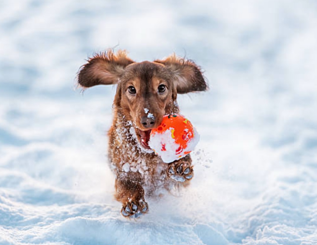 Due to temps and illness of staff, group class is cancelled tonight. Thanks for understanding!
