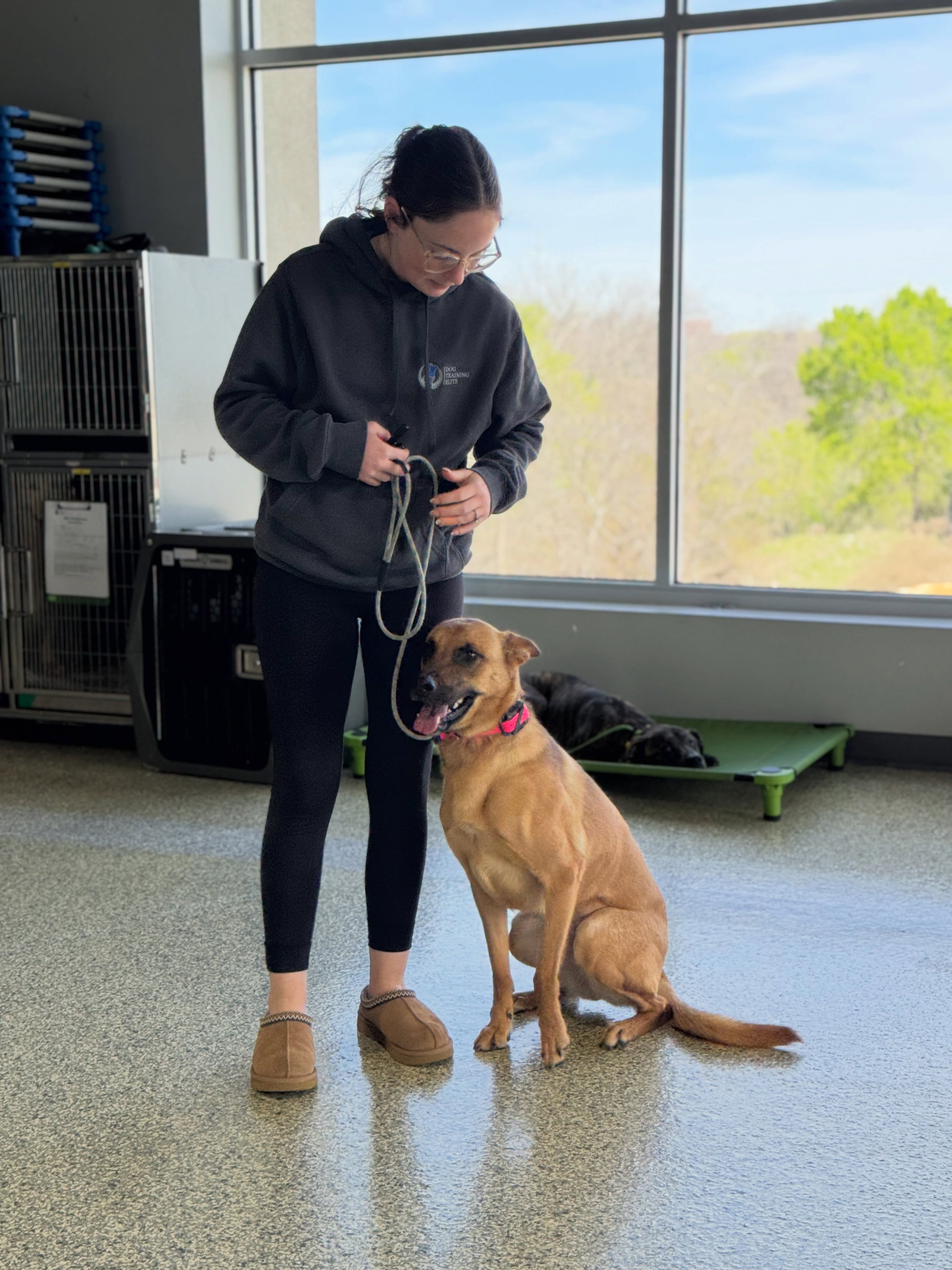 Personalized training plans and knowledgeable trainers who build confidence in both the dog and owner, that&rsquo;s your DFW Dog Training Elite team.

Programs ranging from obedience or reactivity, to therapy, service, and personal protection work. Link in bio to learn more or get started with a free in-home evaluation.

