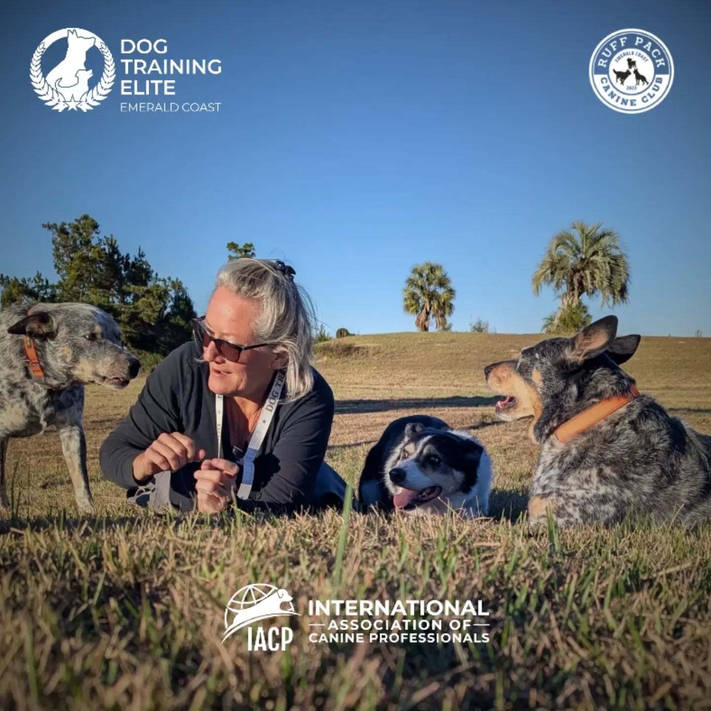 I'm honored to have been selected to serve on the Legislative Committee of the International Association of Canine Professionals.

As a Florida-based trainer, I look forward to helping advocate for responsible dog ownership, professional standards, and balanced, humane training practices.

Thank you to the clients, dogs, and community members who have supported this journey.

Tina Ruffin 
Owner/Training Director