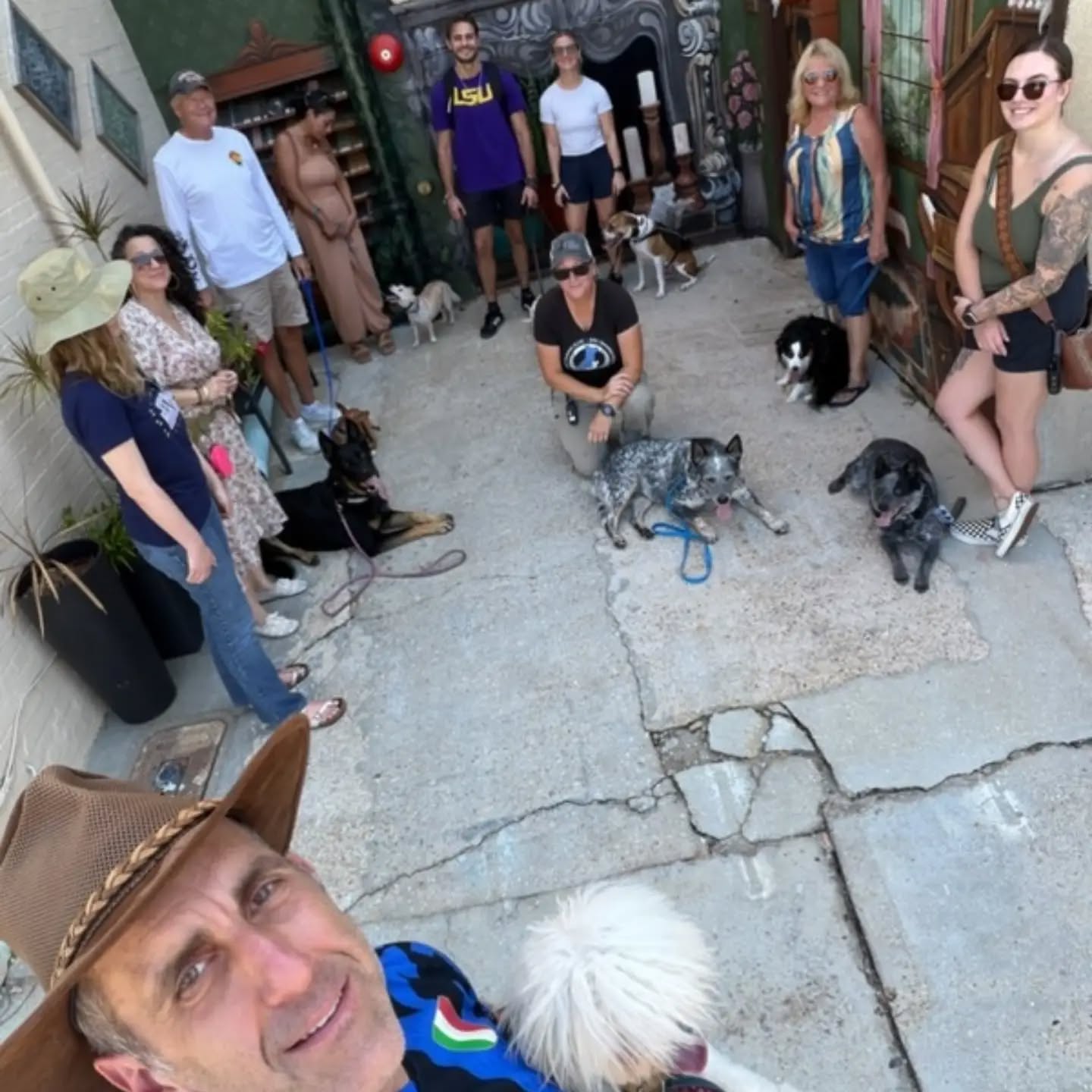 I spy some very good dogs 🕵️...and some fantastic owners.

Picture from today's structured group walk. A mix of dogs that came to us as extremely reactive and others that are high performing service dogs. All working well together in a public place with lots of distractions.

No one should tell you dog training is easy. But it's so worth it.

Great job today pack! 💯


