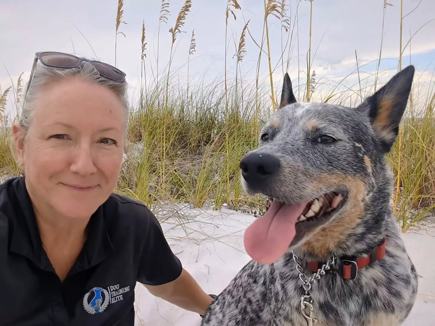 Gus and I at Ft. Walton Beach 

Being a traveling dog trainer keeps me on the road a lot.

And anytime I'm near the beach (which oddly is not very much considering my territory is the entire Emerald Coast!), I always take a few minutes to pull over, watch the surf, smell the salty air and enjoy the view. It reminds me of why I love it here and reenergizes me.

On the long trips, I usually take my fuzzy buddy to annoy me....I mean keep me company. I sure do love working with a dog friendly company 😉

-Tina Ruffin 
Owner/Training Director 

