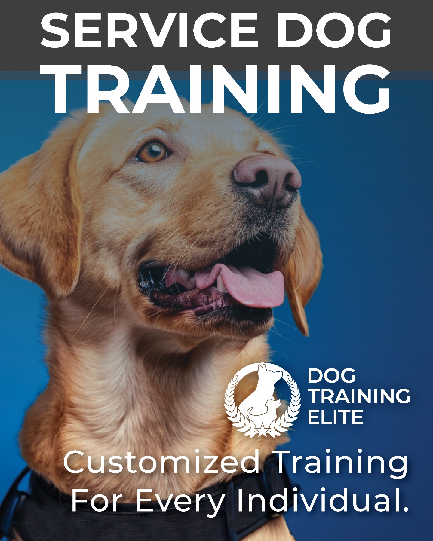 🐕&zwj;🦺 Service Dogs Change Lives.

At Dog Training Elite Northeast Indiana, we specialize in training highly skilled service dogs that provide real, life-changing support for individuals and families.

Our customized programs train dogs for:

✔️ PTSD & Psychiatric Support
✔️ Mobility Assistance
✔️ Autism Support
✔️ Medical Response
✔️ Anxiety & Emotional Stability

Every service dog is trained to meet the specific needs of the individual, helping restore independence, confidence, and peace of mind.

Whether you&rsquo;re a veteran, parent, or someone facing daily challenges, a properly trained service dog can make an incredible difference.

💙 Customized Training for Every Individual

📞 Call us today: 260-544-6888
🌐 Learn more: https://dogtrainingelite.com/fort-wayne

DogTrainingElite FortWayneDogs IndianaDogs VeteransSupport