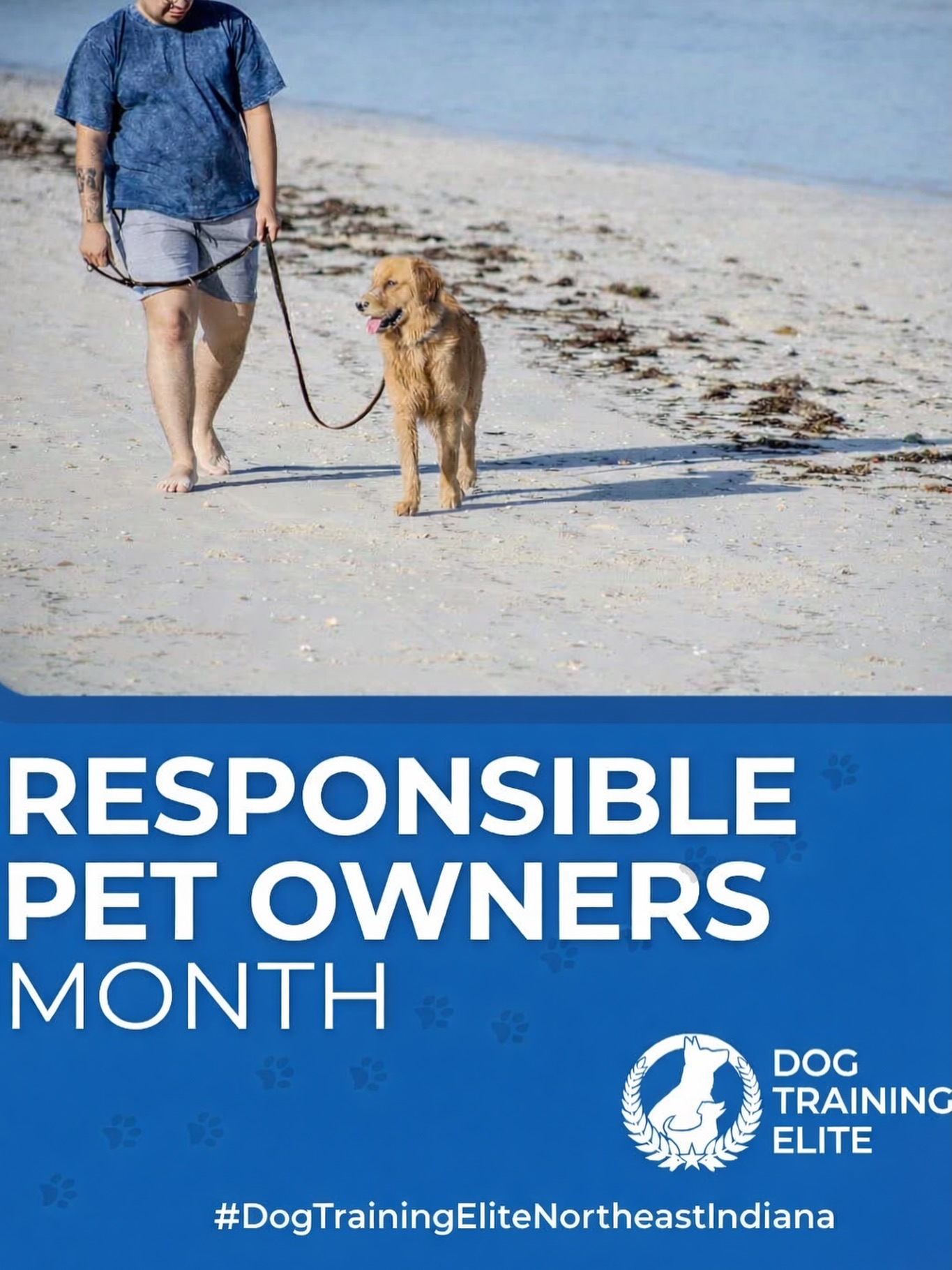 Responsible Pet Ownership = Proper Training 🐾

If your dog isn&rsquo;t reliable on leash, off leash, or around distractions&hellip; it&rsquo;s time to fix that.

At Dog Training Elite Northeast Indiana, we deliver REAL results:
✔️ Obedience that works in the real world
✔️ Clear communication between dog & owner
✔️ Freedom, confidence, and control

Spots fill fast &mdash; don&rsquo;t wait until bad habits get worse.

📞 Call or text 260-544-6888 to get on the schedule

