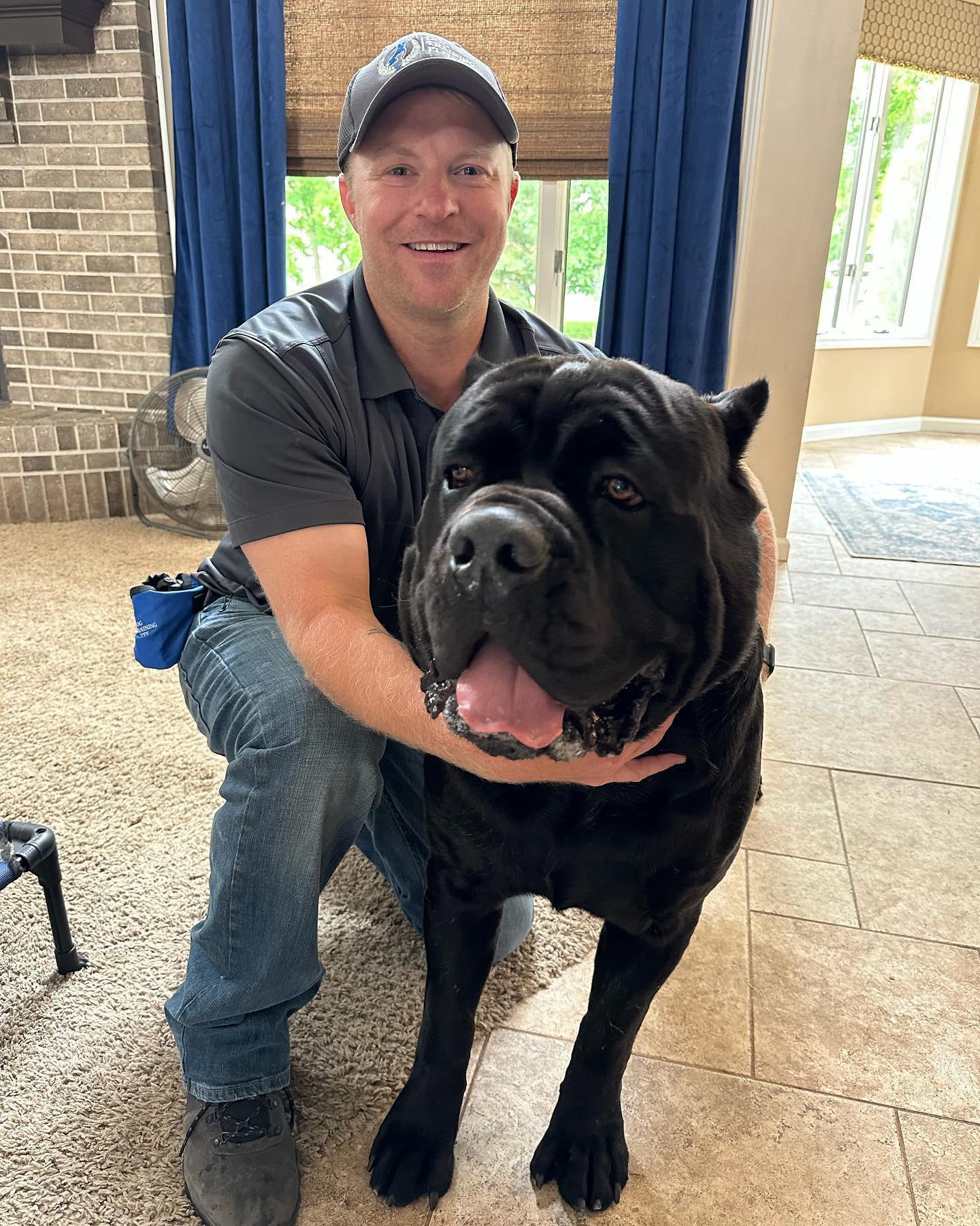 Meet Riot! 👋🏻 Here is Clint next to him just for size comparison. We train ALL DOGS- all sizes, all breeds, all ages. Yesterday was Riot’s first obedience training session and he did great! 
🐾 DogTrainingElite.com/Fort-Wayne
📞 260-544-6888

