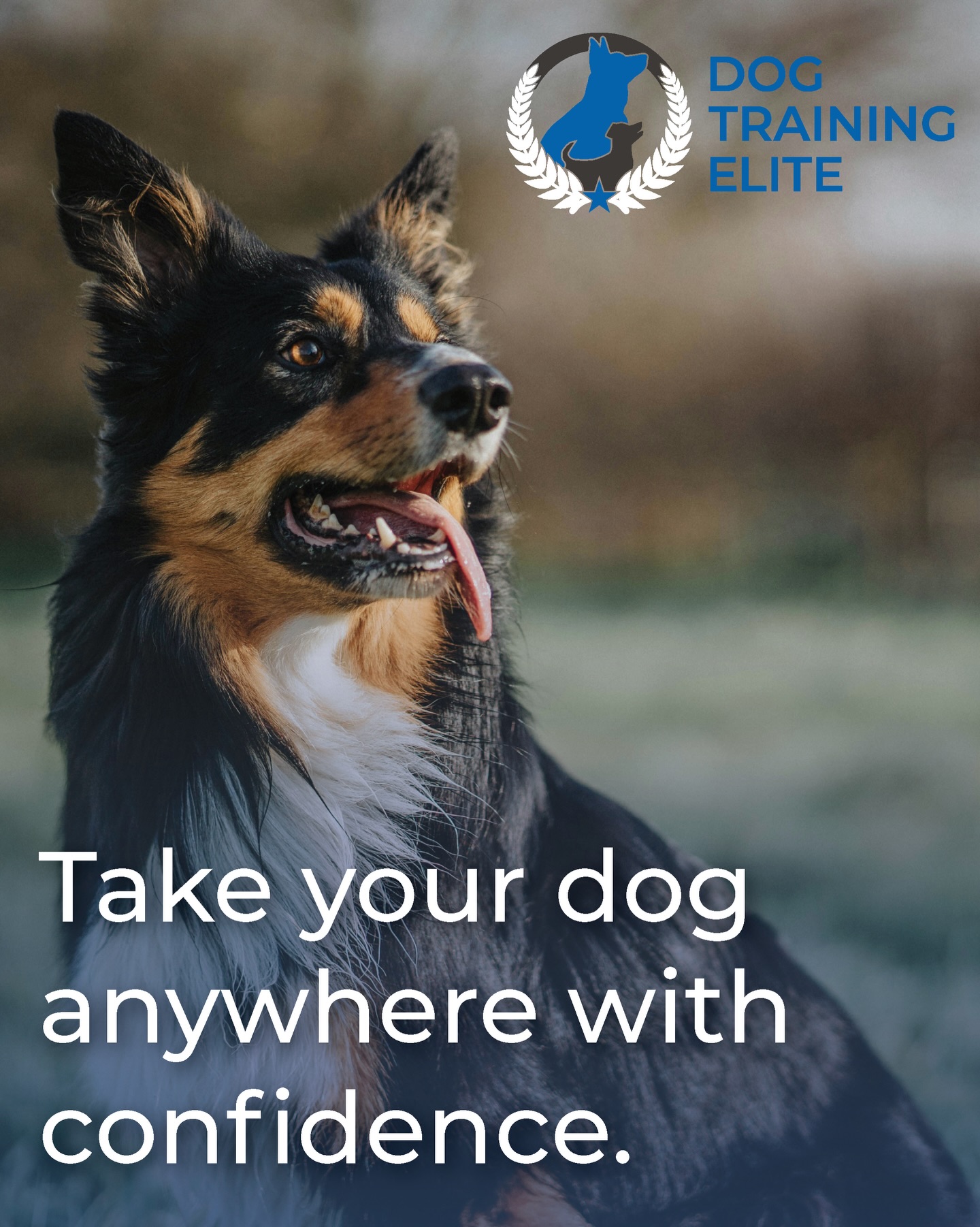 Confidence changes everything.

No more stressing over walks, guests, or public outings. A well-trained dog means freedom&mdash;for you and your family.

At Dog Training Elite Northeast Indiana, we don&rsquo;t just teach commands&mdash;we build reliable, real-world obedience you can count on anywhere.

Ready to take your dog anywhere with confidence? Contact us today!! 

📞 260-544-6888
🌐 https://dogtrainingelite.com/fort-wayne

