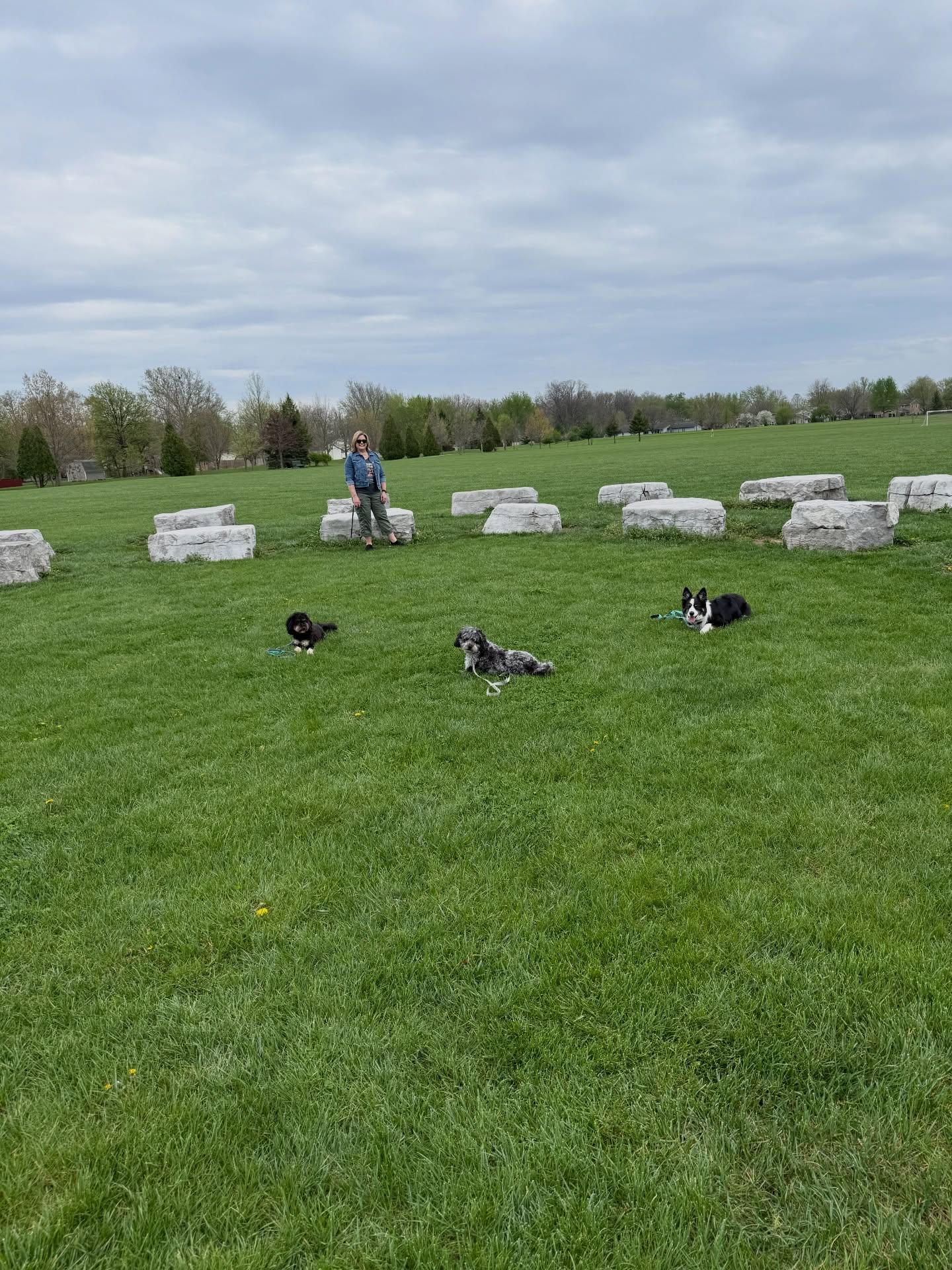 Last night&rsquo;s small group class was small but mighty! 🐾

With just three dogs, two veterans and one newcomer, each team received extra one-on-one attention and delivered incredible results. Every dog successfully held a sit-stay or down-stay and was recalled one at a time with confidence and precision.

Their handlers walked away proud, confident, and inspired!

More dogs mean more distractions and even better real-world training&mdash;so join us and help keep our Wednesday group classes thriving.

ConfidentHandlers FortWayneDogs