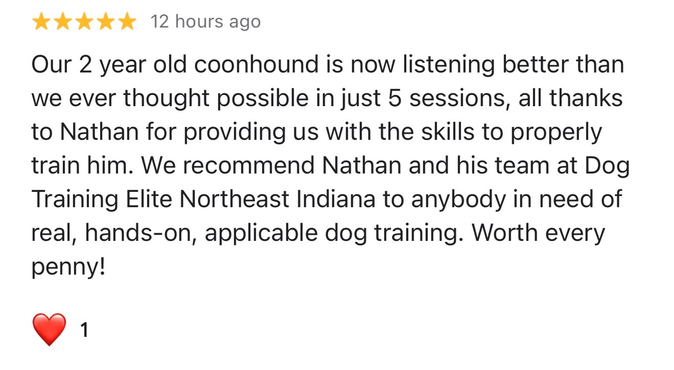 5 sessions.
2-year-old coonhound.
A whole new level of listening.

This is what happens when owners are coached the right way and dogs are trained with clarity and consistency. 🙌

At Dog Training Elite Northeast Indiana, we don&rsquo;t just train dogs&hellip; we equip owners with the skills to lead for life.

Worth every penny? We think so. 💪🐶

