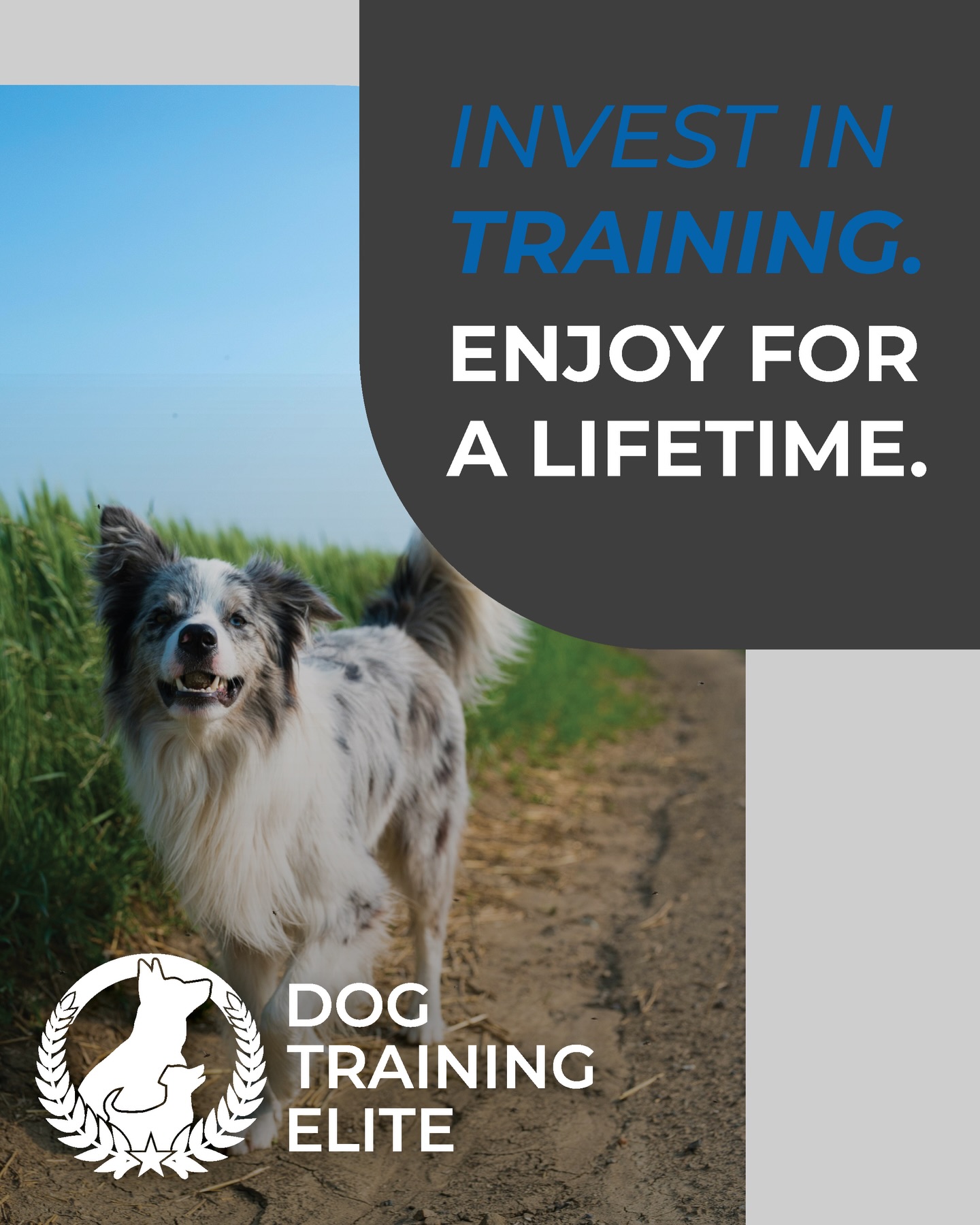 🐾 A trained dog changes everything.

Imagine enjoying walks again&hellip; 
No pulling. No barking. No chaos. Just a dog that listens and walks calmly by your side.

At Dog Training Elite Northeast Indiana, we help dogs become the calm, obedient companions families dream of. Whether you&rsquo;re struggling with leash pulling, jumping, barking, or reactivity &mdash; we can help.

✔ Off-leash obedience 
✔ Puppy training 
✔ Behavior modification 
✔ Service dog training (PTSD, autism, mobility & more)

Invest in training now. Enjoy your dog for a lifetime.

📅 Spots for evaluations fill quickly.

👉 Schedule your free consultation today: 
📞 260-544-6888 
🌐 https://dogtrainingelite.com/fort-wayne

Your dog has the potential. 
We&rsquo;ll show you how to unlock it. 🐕💙