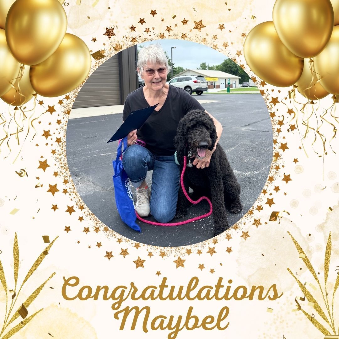 🎉🐾 Congratulations to Maybel! 🎓

A huge congratulations to Maybel on graduating after working with Trainer Larissa!

Throughout her training, Maybel made incredible progress by building her confidence, improving her leash walking skills, and learning to stay calm and focused around new people and other dogs. Her hard work and dedication have truly paid off!

We're so proud of everything Maybel and her family have accomplished. Congratulations on this well-earned achievement, and we can't wait to see all the adventures ahead! ❤️🐶

