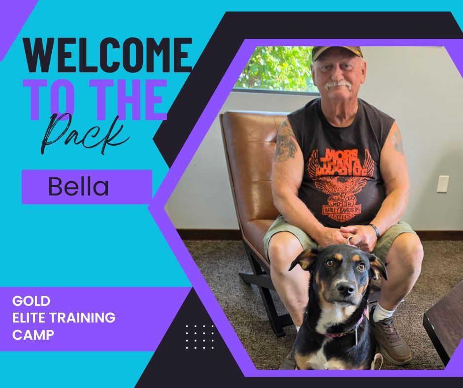 🐾 WELCOME TO THE PACK, BELLA! 🐾

We&rsquo;re so excited to welcome Bella to the pack! 🐶💗 She&rsquo;ll be joining us for our Gold Elite Training Camp and will be doing follow-up training with Trainer Hannah&mdash;who also had the pleasure of helping train Bella&rsquo;s big sister, Luna! 🐾💕

Bella will be working on:
🎓 Building a solid foundation of obedience
🚶&zwj;♀️ Developing better walking skills
👂 Strengthening her listening skills so she can be just as well-trained and responsive as her big sister, Luna!

We love when families trust us with more than one member of their pack, and we&rsquo;re so excited to continue the journey with this family! 🥰🐾

Welcome to the pack, Bella! We can&rsquo;t wait to watch you follow in Luna&rsquo;s pawsteps! 🐶✨

