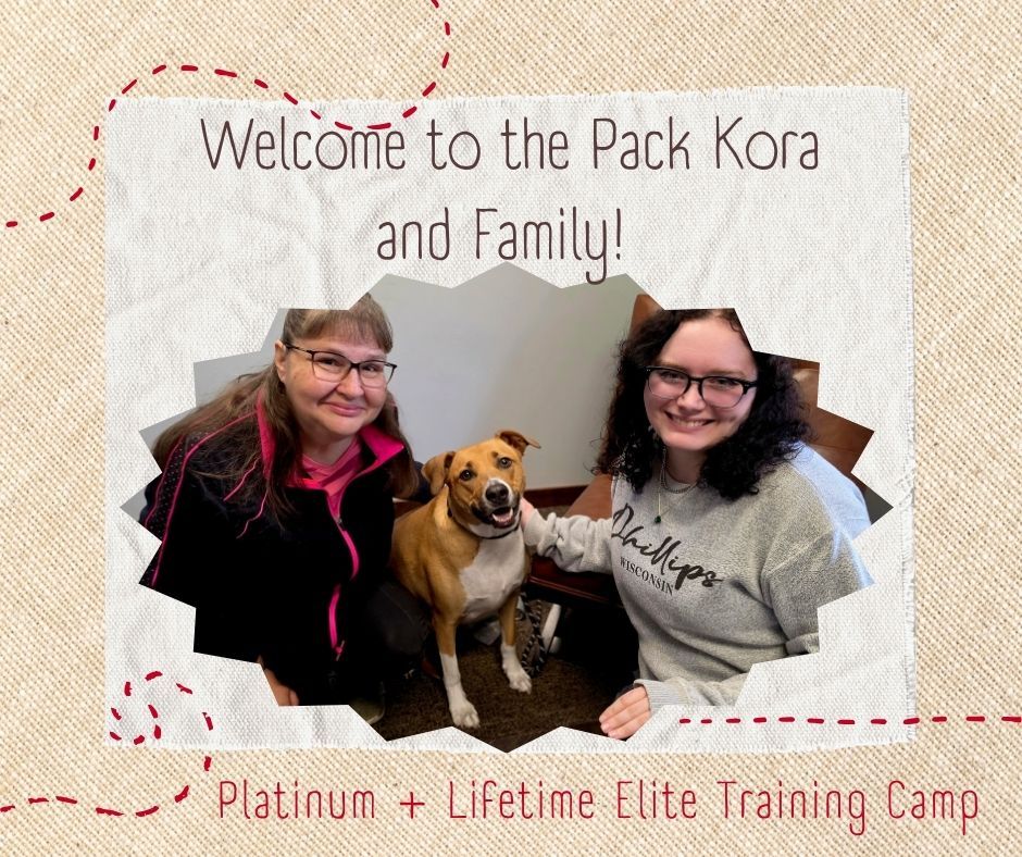 🐾💗 WELCOME TO THE PACK, KORA! 💗🐾

Kora is joining us for our Platinum + Lifetime Elite Training Camp, and we&rsquo;re excited to help her build confidence in the outside world! 🌎🐶

Kora can be nervous and overwhelmed by new sights, sounds, and experiences, so our goal is to help her learn that the world isn&rsquo;t so scary after all. 💪

We&rsquo;ll also be working on loose-leash walking and teaching her to confidently navigate new environments.

We can&rsquo;t wait to watch this sweet girl come out of her shell!

Welcome to the pack, Kora! Your confidence journey starts now! 🐾💗

