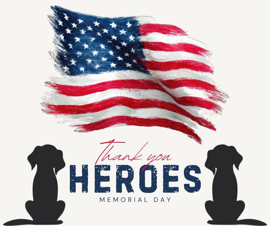 This Memorial Day, we pause to honor and remember the brave men and women who made the ultimate sacrifice for our country.

Their courage, service, and dedication will never be forgotten.

As you spend time with family, friends, and your pups this weekend, we hope you also take a moment to reflect on the freedoms we enjoy because of those who gave everything in service to our nation.

From all of us at Dog Training Elite Northeast WI&mdash;thank you to our fallen heroes and the families who continue to carry their legacy. ❤️🤍💙

