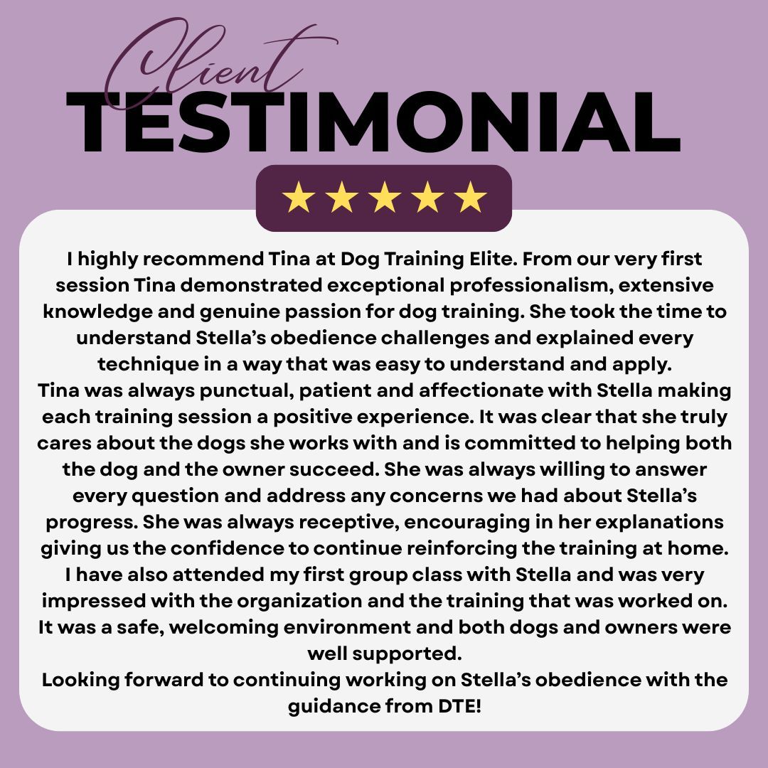 We're incredibly grateful for amazing clients like these! ❤️

A huge shoutout to Trainer Tina for helping make this success story possible. Thank you to our wonderful client for your kind words and for putting in the hard work with your dog. Training is truly a team effort, and we're honored to be part of your journey and celebrate your success! 🐶🐾

