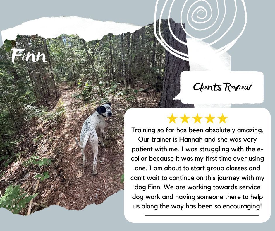 ⭐ FINN&rsquo;S TRAINING JOURNEY! 🐾

We absolutely love hearing about the progress our clients see in their dogs! 💙 Today, we&rsquo;re celebrating Finn and the amazing work he&rsquo;s been doing with Trainer Hannah! 🐶✨

A big thank you to Finn&rsquo;s family for taking the time to share their experience and for trusting Hannah to be part of Finn&rsquo;s training journey. Seeing dogs grow in confidence, build better habits, and strengthen their bond with their families is why we love what we do! 🐾❤️

Keep up the great work, Finn! We&rsquo;re so proud of you! 👏🐶

