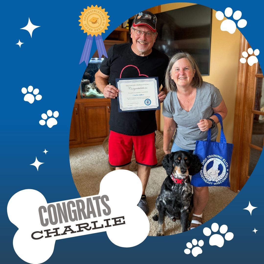 🎓🐾 CONGRATULATIONS, CHARLIE! 🐾🎓

It&rsquo;s graduation day for Charlie! 🎉🐶 Charlie has officially graduated from our Platinum Program with Trainer Ramiro, and we couldn&rsquo;t be more proud of how far he&rsquo;s come!

Charlie worked hard on:
🎓 Building solid overall obedience
🚶 Becoming a better walking partner
🐾 Saying goodbye to jumping on people
🐶 Learning to be a well-behaved brother to Milo

From training sessions to everyday life, Charlie has put in the work and is showing just how much those skills can make a difference! 💙

Congratulations, Charlie! Keep up the great work&mdash;you&rsquo;ve earned those graduation paws! 🐾🎓✨

