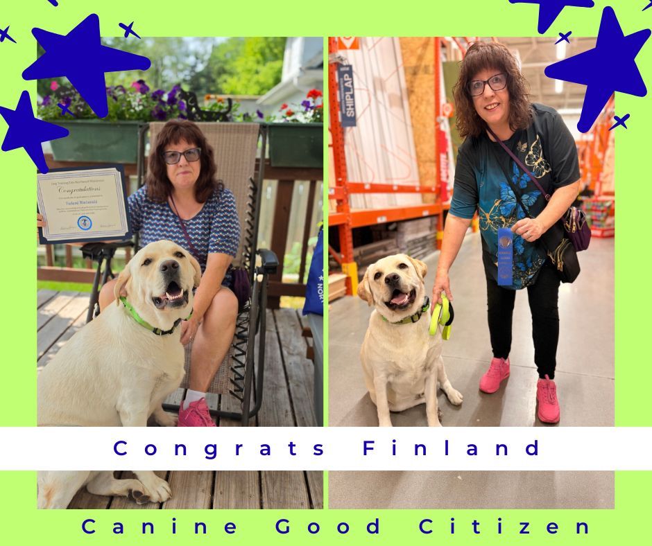 🎉🐾 Congratulations to Finland! 🎓

What an incredible transformation! According to his owner, Finland is a completely different dog than he was just a few short weeks ago&mdash;and we couldn't be happier to hear it!

One of Finland's biggest accomplishments has been his leash manners. He went from pulling his owner everywhere to walking calmly and politely by their side. Thanks to all of his hard work, his family can now confidently take him traveling, to car shows, and on adventures all over the country because they know he'll be a great listener.

To top it all off, Finland also earned his Canine Good Citizen title! 🌟

We're so proud of Finland and his family for all of their dedication. Congratulations on this amazing accomplishment, and we can't wait to see where your next adventure takes you! ❤️🐶


