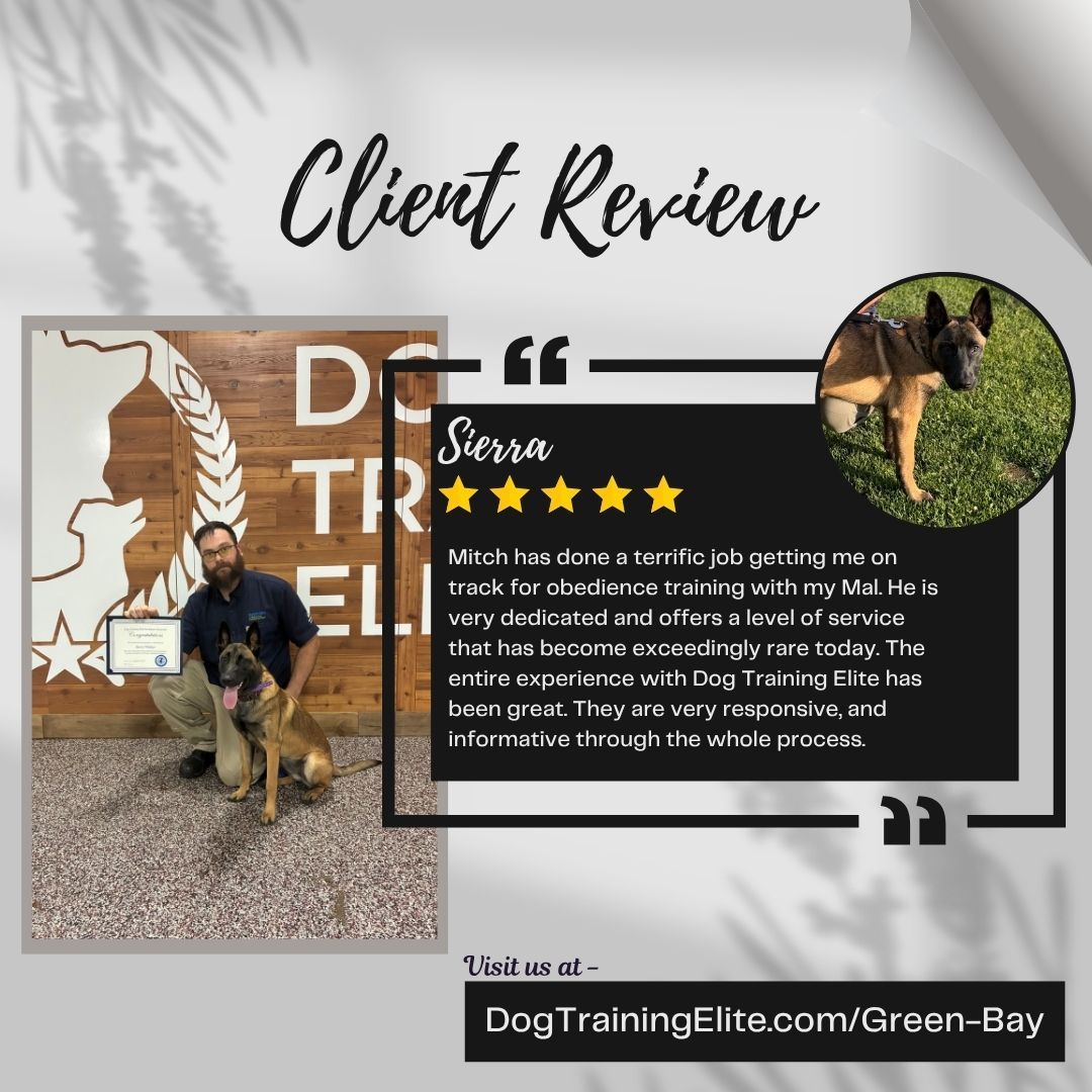 ⭐ Another Happy Client! ⭐

There&rsquo;s nothing better than hearing how much of a difference great training can make! 🐾💙 A huge thank you to our client for taking the time to share their experience with Trainer Mitch.

We&rsquo;re so proud of the work Mitch puts in with every dog and family he works with. Helping create better communication, confidence, and stronger relationships is what it&rsquo;s all about! 🐶👏

If you&rsquo;re considering training for your pup, take a look at what our clients have to say! 💬🐾

Great trainers. Happy dogs. Happier families. ❤️

