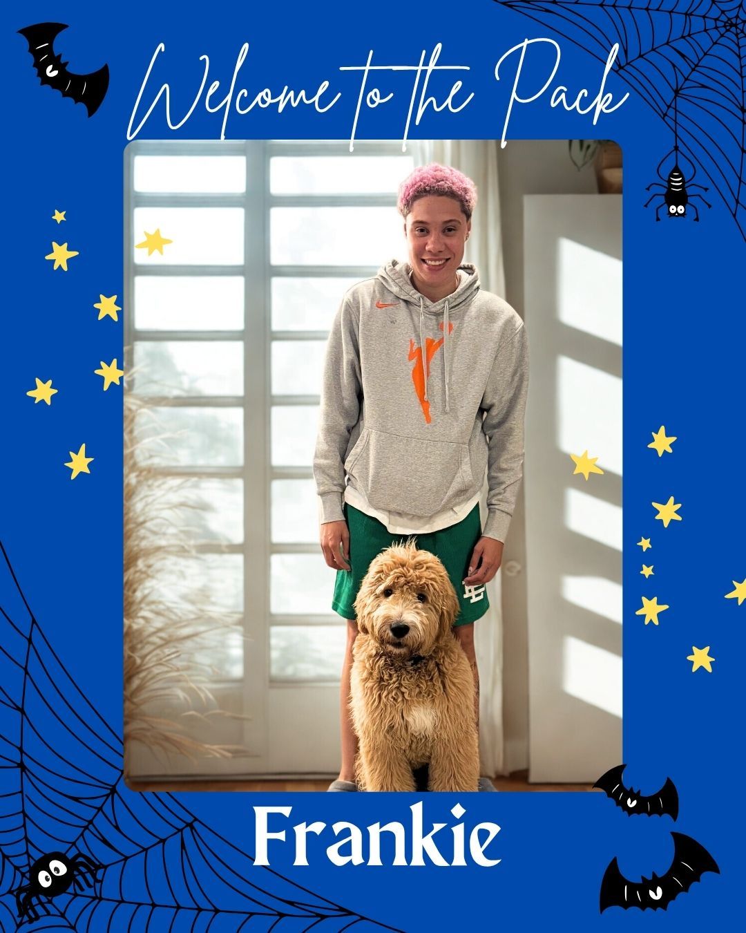 🐾✨ WELCOME TO THE PACK, FRANKIE! ✨🐾

Big paws to fill and even bigger goals ahead! 💪💙
Frankie is officially starting his journey through our Platinum Plus Elite Training Camp, where he’ll be working hard to become a service dog for none other than @natishaheideman, guard for the @minnesotalynx of the @wnba! 🏀🐶

From courtside crowds to high-energy events, Frankie will need top-tier obedience, focus, and confidence  and we know he’s more than ready for it! 🙌

We can’t wait to see Natisha and Frankie grow together and become an unstoppable team both on and off the court! 💫💚

👇 Drop a 🐕‍🦺 in the comments to cheer Frankie on as he starts this amazing new chapter!

