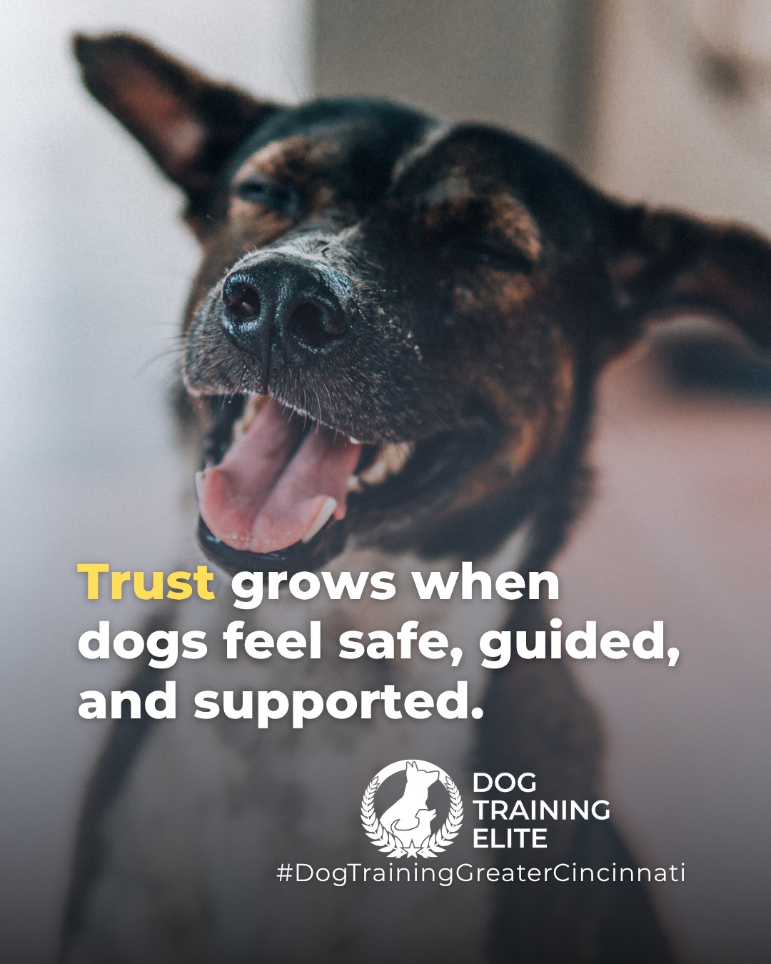 Worried about your dog&rsquo;s panic when you leave?

Building trust is key to managing separation anxiety. Dogs learn to feel safe and supported while alone, developing confidence, focus, and calm behavior that lasts. Training turns anxious moments into peace of mind for both of you.

Make better behavior your first win of the year. Book your free in-home evaluation and see why Liberty Township and West Chester dog owners choose Dog Training Elite for real, lasting results.
📍 https://maps.app.goo.gl/6oEXzBpFStru4fTv6

 

