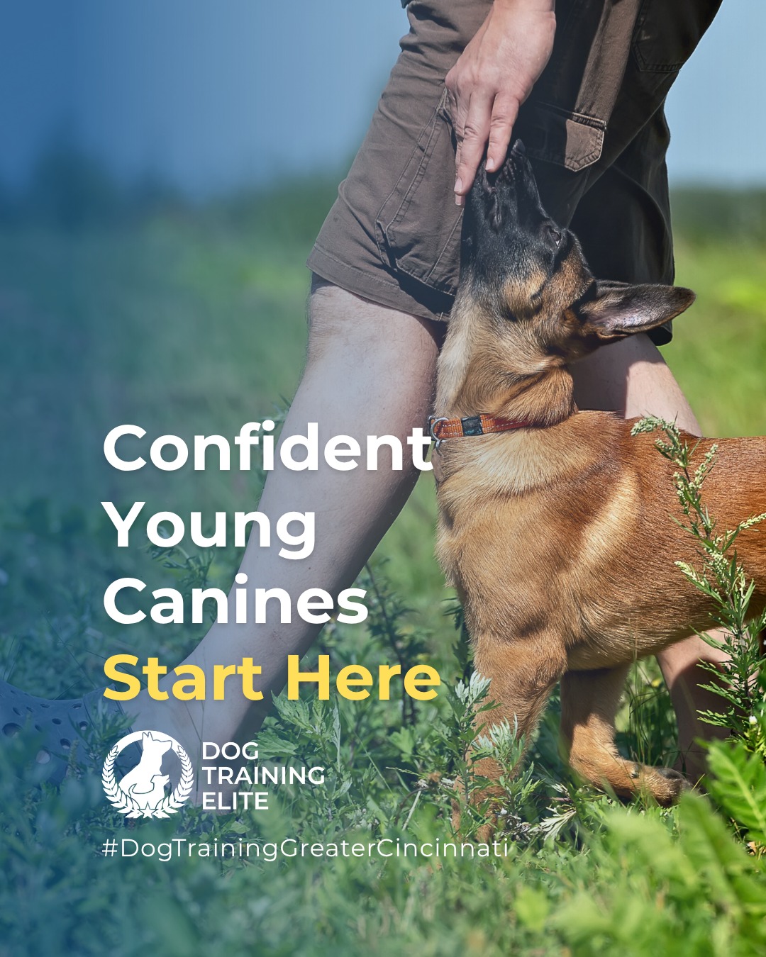 Puppy training sets the foundation for a lifetime of good behavior. Early guidance helps your pup learn essential skills, build confidence, and strengthen the bond between dog and owner.

Key benefits of puppy training at Dog Training Elite Greater Cincinnati:

🐾 Basic obedience: sit, stay, come, and more 
🐕 Socialization with people and other dogs 
🌟 Confidence-building and good habits 

Whether at home or in group classes at Summit Park or Hazel Woods, we’re committed to helping you raise a well-mannered, confident companion from the very beginning.

🎯 🐾 Schedule your free in-home evaluation today and see why families in Miamisburg, Warren County and Preble County trust Dog Training Elite for real results.
📍https://maps.app.goo.gl/6oEXzBpFStru4fTv6



 