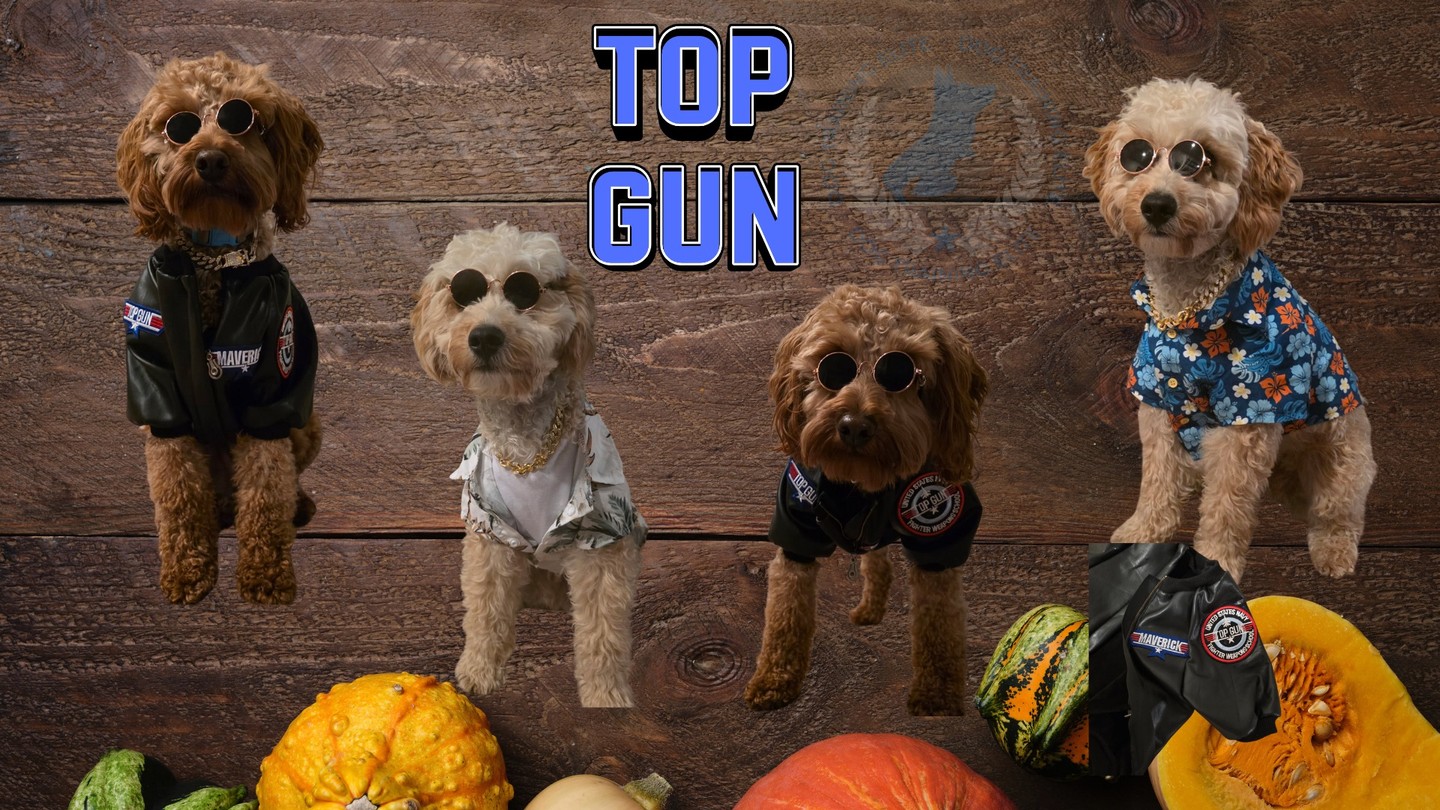 The winner of this year's Group Costume is: Top Gun!!!
It was a tight race, but these boys are all too familiar with that.