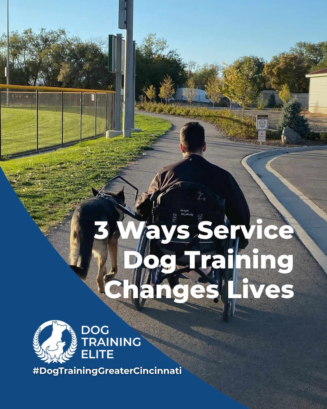 Service dogs are trained to do more than follow cues. They provide reliable support in moments that matter most. Proper service dog training focuses on calm behavior, advanced task work, and strong handler communication in real-world environments.

Service dog training may support individuals who:
 🐾 Live with PTSD, anxiety, or depression, including veterans and civilians
 🐾 Are on the autism spectrum and benefit from structured, task-oriented support
 🐾 Have epilepsy and require alert or response-based behaviors
Participating locations also offer advanced medical training for qualifying teams. 

Every service dog program is customized to the needs of the handler and the responsibilities required of the dog.
Service dog training is about trust, consistency, and life-changing partnership.

 🦮From basic obedience to advanced service dog training, Dog Training Elite Greater Cincinnati helps dogs near Liberty Township build better behavior and stronger bonds this season. 🐾
📍 https://maps.app.goo.gl/6oEXzBpFStru4fTv6


