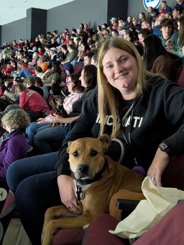 Need your dog to stay focused around crowds and distractions? 🐕&zwj;🦺

Dog Training Elite Greater Cincinnati helps families in Cincinnati, Dayton, and Middletown build real-life control with dog obedience training that holds up outside the living room. Our professional dog trainer team uses a balanced training approach using praise, treats, and minimal corrections, so you get clear communication without confusion.

We offer in-home dog training and advanced dog training for dogs who need stronger reliability, plus service dog training for tasks like mobility and psychiatric support. Our programs are customized to your goals and your dog&rsquo;s needs, and our goal is to help you better understand your dog and improve your relationship.

✔ Puppy obedience training for a solid start 
✔ Behavior training for dogs (including reactivity and aggressive dog training)

Ready to get started? Someone from our team will reach out shortly to help schedule your evaluation. 🐾
