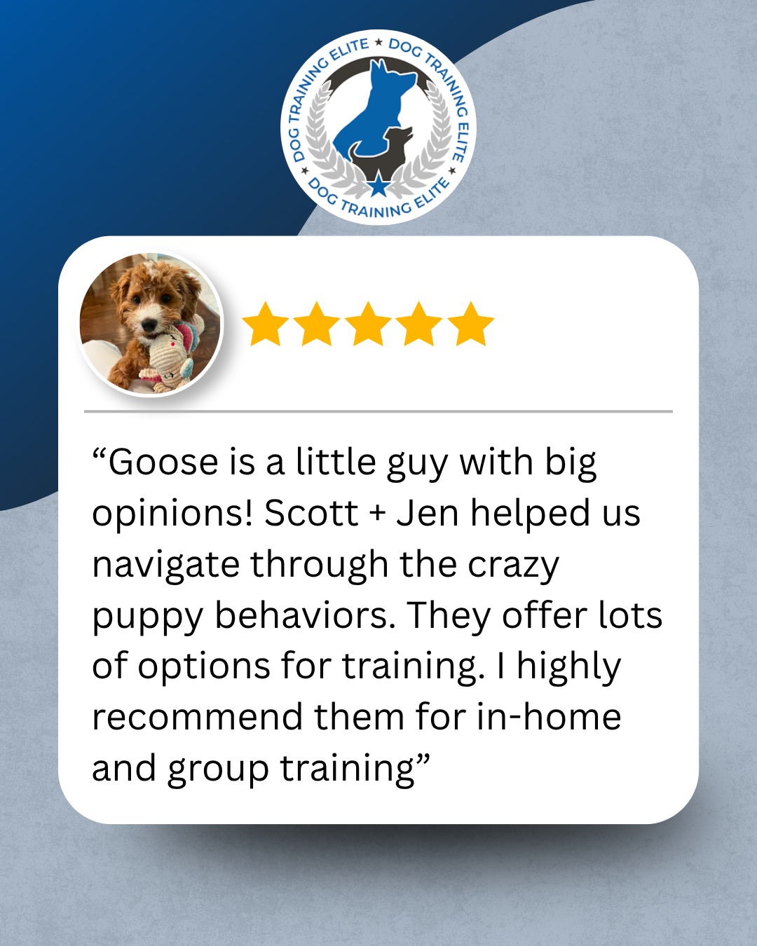 Little dog, BIG opinions. 😂🐾

Goose&rsquo;s family came to us for help navigating those crazy puppy behaviors, and we love hearing how training has helped them along the way!

From in-home training to group classes, the goal is always bigger than teaching commands, it&rsquo;s giving owners the tools and confidence to enjoy life with their dog.

Thank you for trusting us with Goose! 💙

📞Call or text 513-822-3230 to schedule your FREE in-home training assessment.

