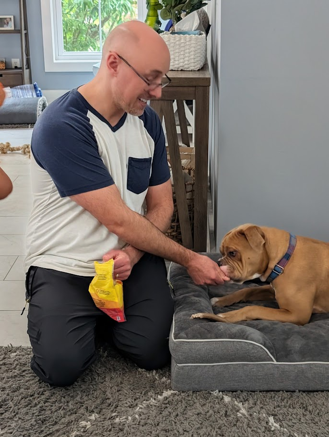 Calm moments like this don't just happen. They're trained. 🐾

A dog that can relax on their bed, take a treat gently, and settle on cue is showing the result of consistent, clear training. At Dog Training Elite Greater Cincinnati, our in-home dog training builds exactly these everyday skills, right where your dog lives and learns best. Our balanced training approach uses praise, treats, and minimal corrections, and every program is customized to your goals and your dog's needs.

Whether you need dog obedience training for the basics, puppy obedience training for a new addition, or help from a professional dog trainer with tougher behaviors, our goal is to help you better understand your dog and improve your relationship. Cincinnati families also love our group classes once their dog has a solid foundation.

Ready for a calmer, better-behaved dog at home? Reach out and someone from our team will reach out shortly to help schedule your evaluation.