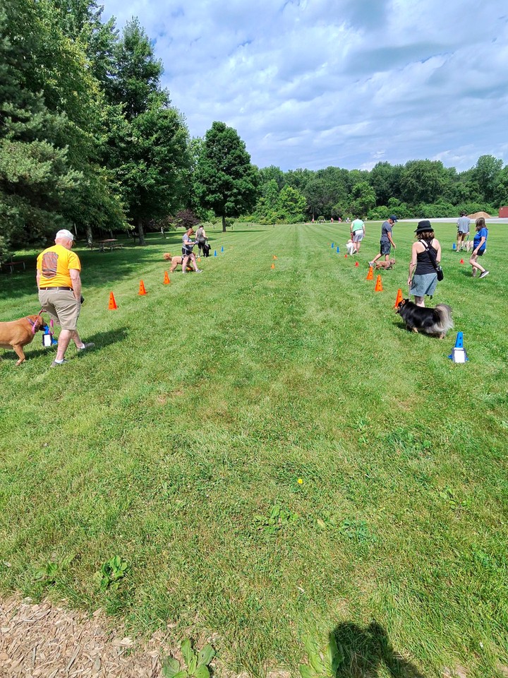 Training in the great outdoors is where good habits really shine. 🌳

Our group classes at parks around Greater Cincinnati give dogs the chance to practice their skills with real distractions, like other dogs, new people, and wide open spaces. It's the perfect way to see how far your pup has come after in-home dog training.

Our balanced training approach using praise, treats, and minimal corrections helps dogs stay focused and confident, whether they're working on dog obedience training basics or advanced dog training off-leash. Every program is customized to your goals and your dog's needs.

🐾 Puppy obedience training for a solid foundation
🐾 Behavior training for dogs who struggle around distractions
🐾 Service dog training tailored to your lifestyle

With summer in full swing, remember to bring water for you and your pup. If your dog could use some real-world practice with a professional dog trainer, send us a message and someone from our team will reach out shortly to help schedule your evaluation.