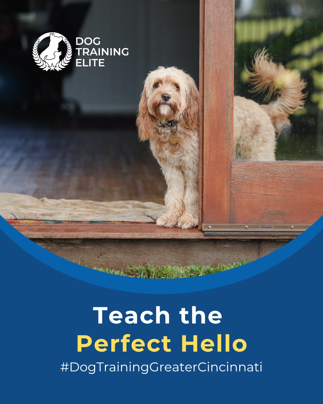 Do you have a door dasher or a high jumper? 🚪🐕

 Jumping might be cute when they’re small, but polite pup greetings make for happier humans. 💛

👇 Try these quick training tips:
 🐾 Keep greetings short and controlled
 🐾 Reward calm, polite behavior right away
 🐾 Redirect that excitement with a clear command

Help your dog master calm introductions, one greeting at a time. ✨

With our expert local trainers, your dog can stay focused, polite, and confident in any social setting, from Over-The-Rhine to Warren County.

🎯 From basic obedience to advanced service dog training, Dog Training Elite Greater Cincinnati helps dogs near Cincinnati Zoo & Botanical Garden build better behavior and stronger bonds this fall. 🐾
📍 https://maps.app.goo.gl/6oEXzBpFStru4fTv6


 
 