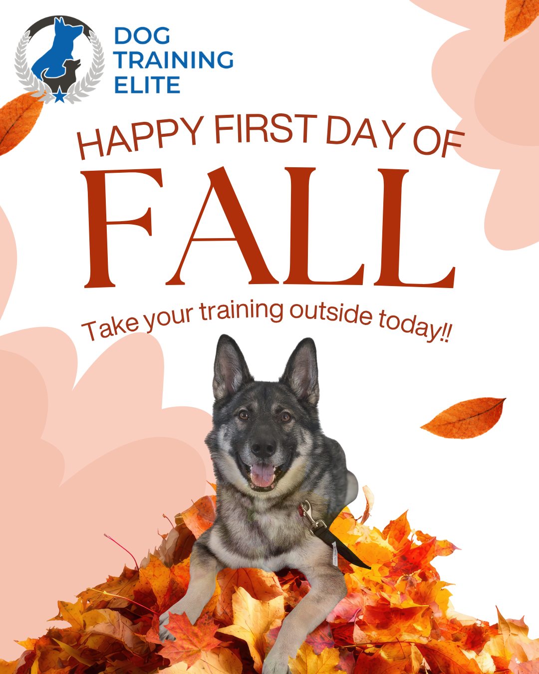 🍂 Happy First Day of Fall! 🐾

Cooler temps, crisp air, and new distractions make it the perfect time to take your training outside. Grab the leash, practice those skills, and let your dog experience the real world with you!

Because training doesn&rsquo;t stop when you leave the house. 💛

