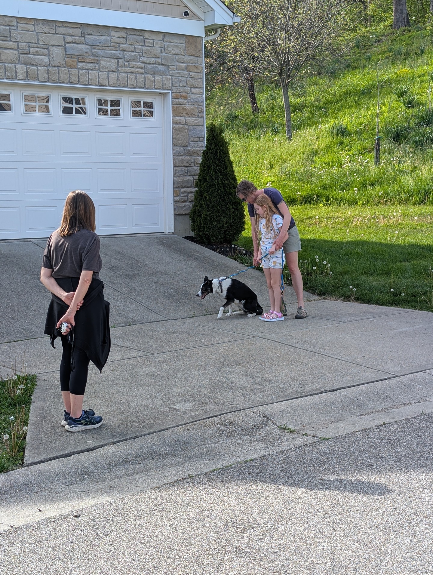 Summer walks should feel calm, not like a tug-of-war. 🐾 At Dog Training Elite Greater Cincinnati, we focus on leash handling and clear commands so your dog listens around real-life distractions.

If you&rsquo;re in Cincinnati, Dayton, or Middletown and searching for a dog trainer near me, our team offers in-home dog training that fits your routine. You&rsquo;ll work with a professional dog trainer who uses a balanced training approach using praise, treats, and minimal corrections. Our goal is to help you better understand your dog and improve your relationship.

Here&rsquo;s what we can help with:
&bull; Dog obedience training from basics to advanced dog training 🦮
&bull; Puppy obedience training for a strong start
&bull; Behavior training for dogs with jumping, barking, or pulling
&bull; Aggressive dog training support when safety is the priority

Want to get started? Message us and someone from our team will reach out shortly to help schedule your evaluation. 📍