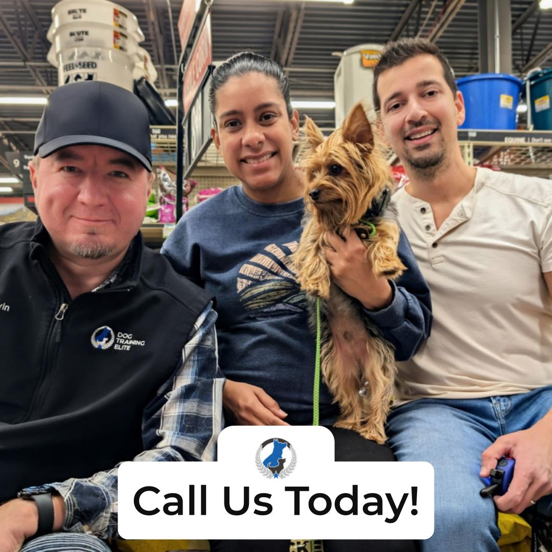 Ever wonder how you can make your dog the best buddy ever? Dog Training Elite Greater Cleveland is here to help! We offer in-home dog training that fits right into your life in Bay Village, Rocky River, and beyond. With our experienced trainers, you can feel confident about tackling dog behavior issues, from aggression to learning basic obedience lessons. Want to teach your dog special skills? We even provide service dog training. Let us help you build a strong bond and understanding with your furry friend. Contact us today to find the perfect training program for your dog!