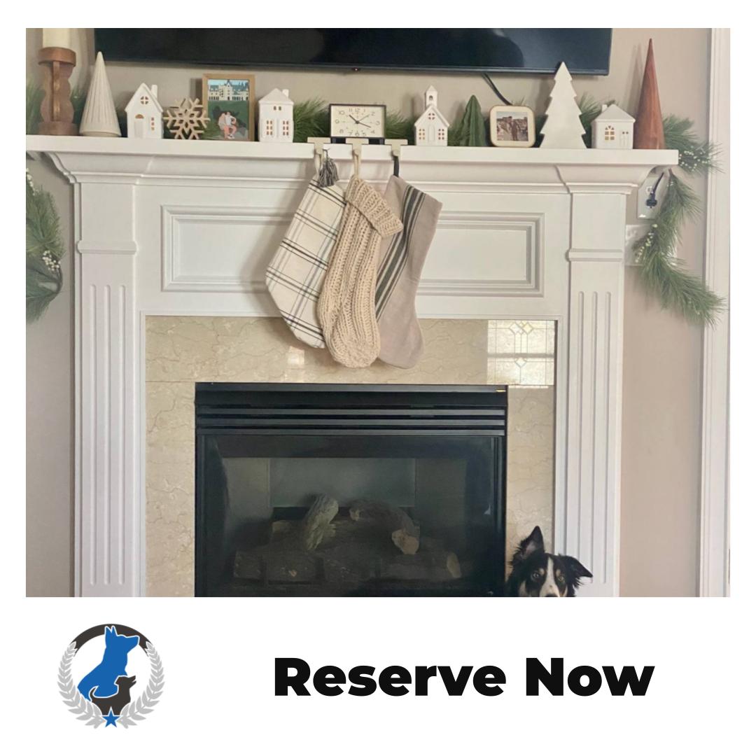 Looking for a dog trainer near me in the Greater Cleveland area? Dog Training Elite Greater Cleveland helps families build calm, reliable dogs with clear steps and a balanced plan. We offer in home dog training across the west side so your dog can learn where real-life problems happen, like jumping, pulling, and ignoring recall. Need dog training Cleveland support for manners and focus? Our Basic obedience lessons cover leash skills, place, stay, come, and impulse control in everyday settings. If you&rsquo;re dealing with serious reactivity, our Aggressive dog trainer program focuses on safer walks, better neutrality around triggers, and improved behavior at home. We also provide Service Dog Training for families who need task-based help and dependable public behavior. If you want a Dog Trainer Cleveland team that feels local and practical, we&rsquo;re here to help you and your dog make steady progress.