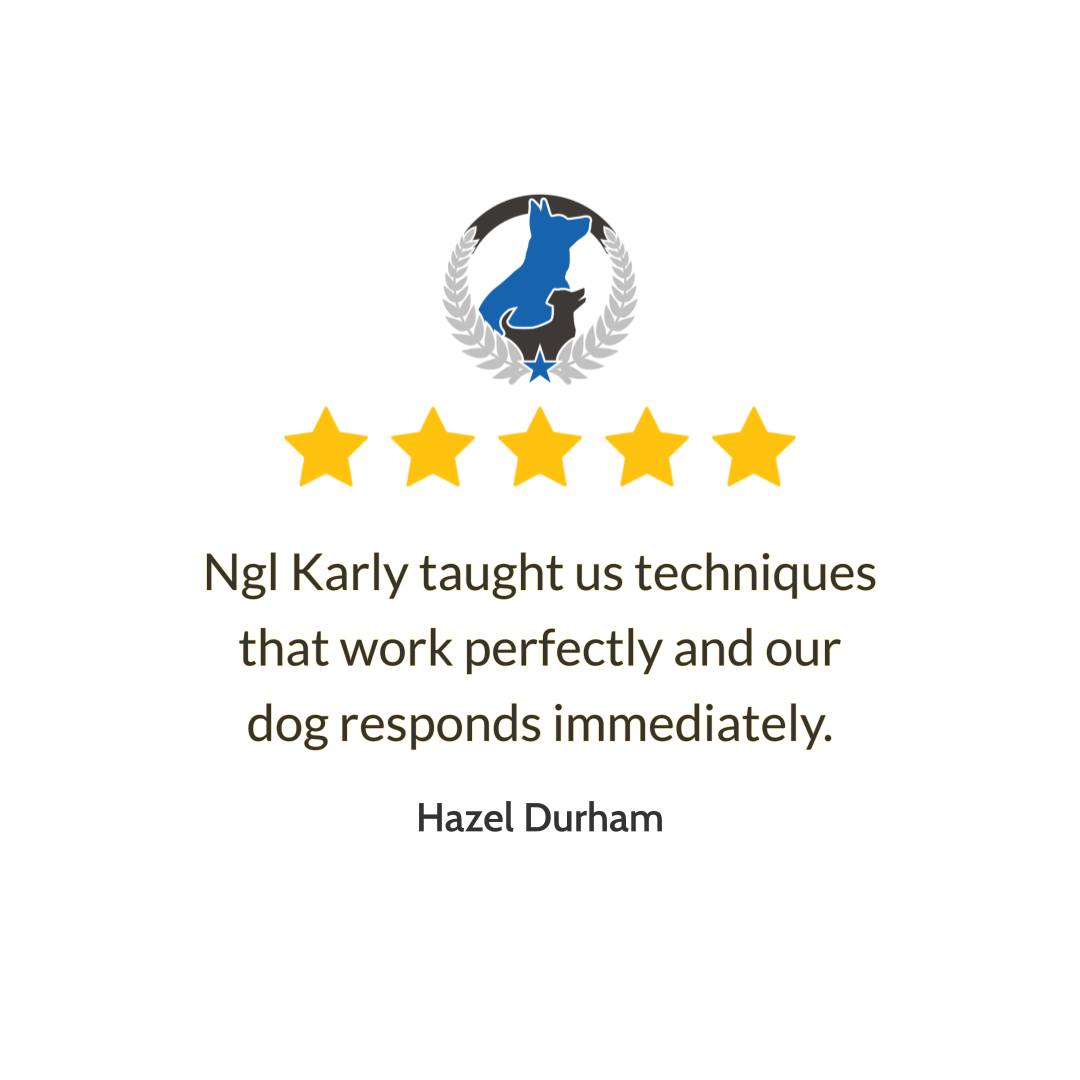 The best kind of win is when your dog listens right away. We loved hearing, &ldquo;Ngl Karly taught us techniques that work perfectly and our dog responds immediately,&rdquo; because that is exactly what our training is all about. If you&rsquo;re searching for a dog behavior expert and a dog trainer near me, our team focuses on clear steps you can use every day, not confusing rules. We offer in home dog training to help you practice where real life happens, and we also help families who need an aggressive dog trainer for tough behaviors like reactivity and guarding. From Bay Village and Rocky River to Westlake, Avon, North Olmsted, Strongsville, Lakewood, and Cleveland, we&rsquo;re proud to support local owners who want a calmer home and a better bond with their dog. Reach out today to schedule your free assessment and get a plan that fits your dog and your goals.