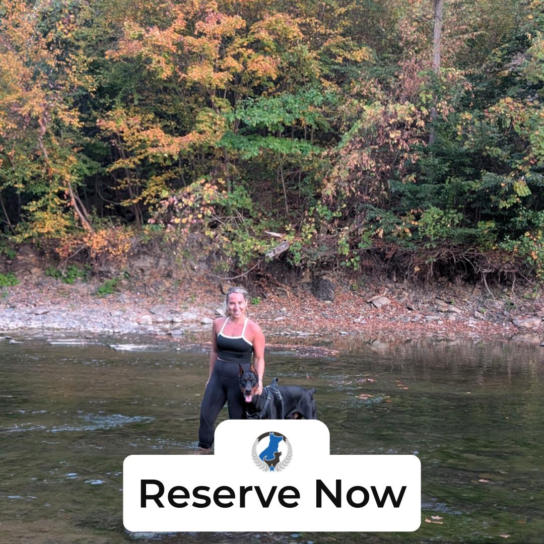 Training should work in the real world, not just in the living room. At Dog Training Elite Greater Cleveland, we help your dog stay calm and listen around parks, trails, and busy spots across the Cleveland area. If you&rsquo;ve been searching for a dog trainer near me, our team offers in home dog training that fits your daily routine and your dog&rsquo;s needs. We also teach basic obedience lessons like leash manners, recall, and impulse control, so walks feel easier and safer. Need help with bigger challenges? Our dog behavior expert can build a plan for reactivity, and if needed, you can work with an aggressive dog trainer who focuses on clear, humane steps. We also provide service dog training for families who need a dependable support dog. Book a free assessment today and let&rsquo;s get started.