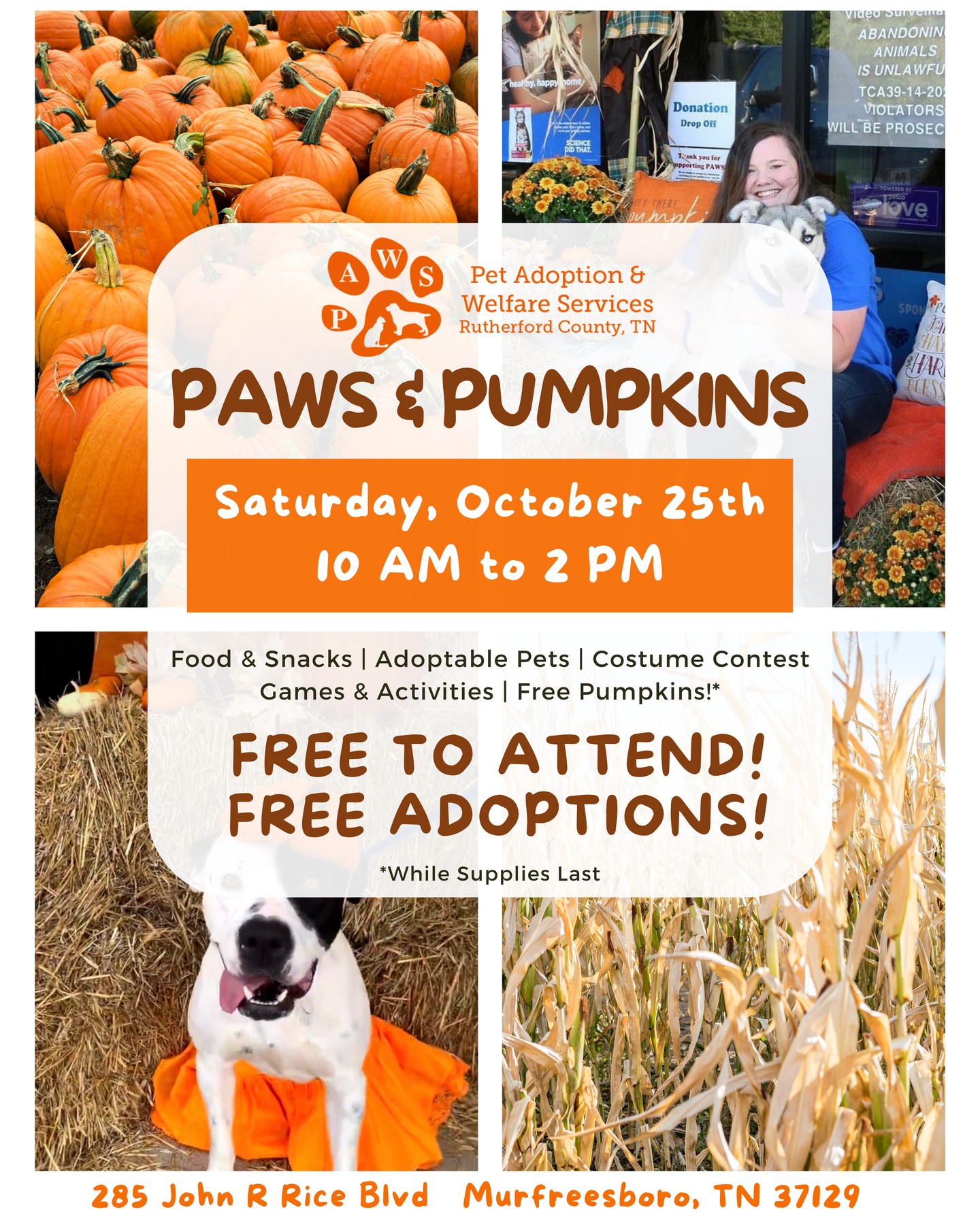 Happy Friday! We are so excited to announce that we will be attending Paws and Pumpkins on October 25th! Please feel free to swing by and say hi! 