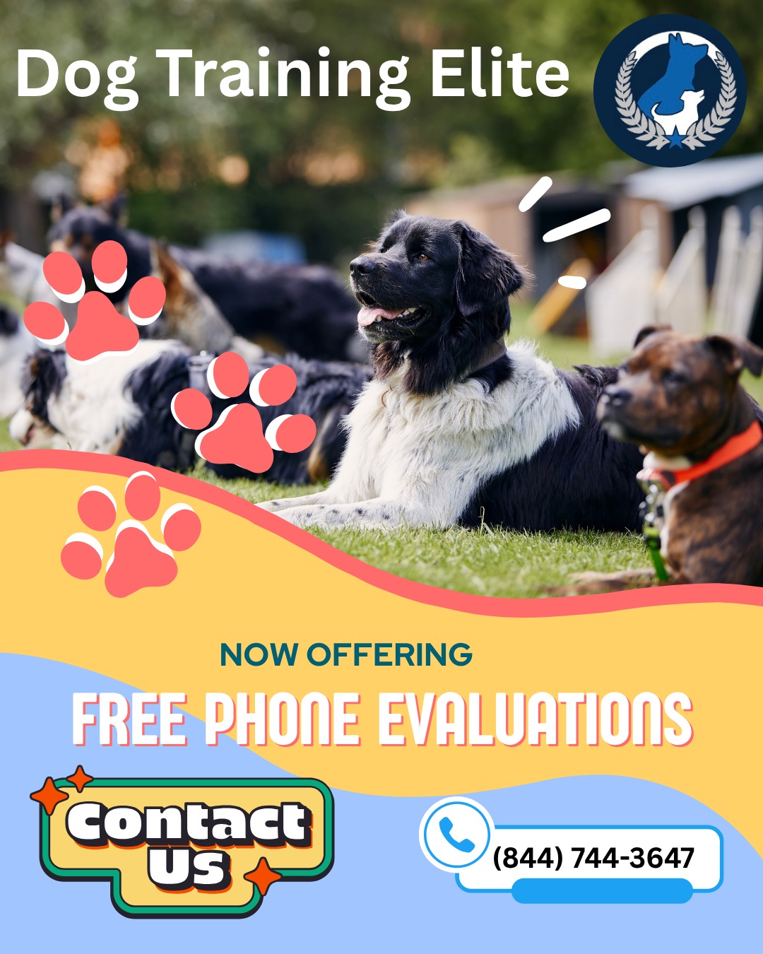 Happy almost Friday! We are so excited to announce that we are offering free phone evaluations! 